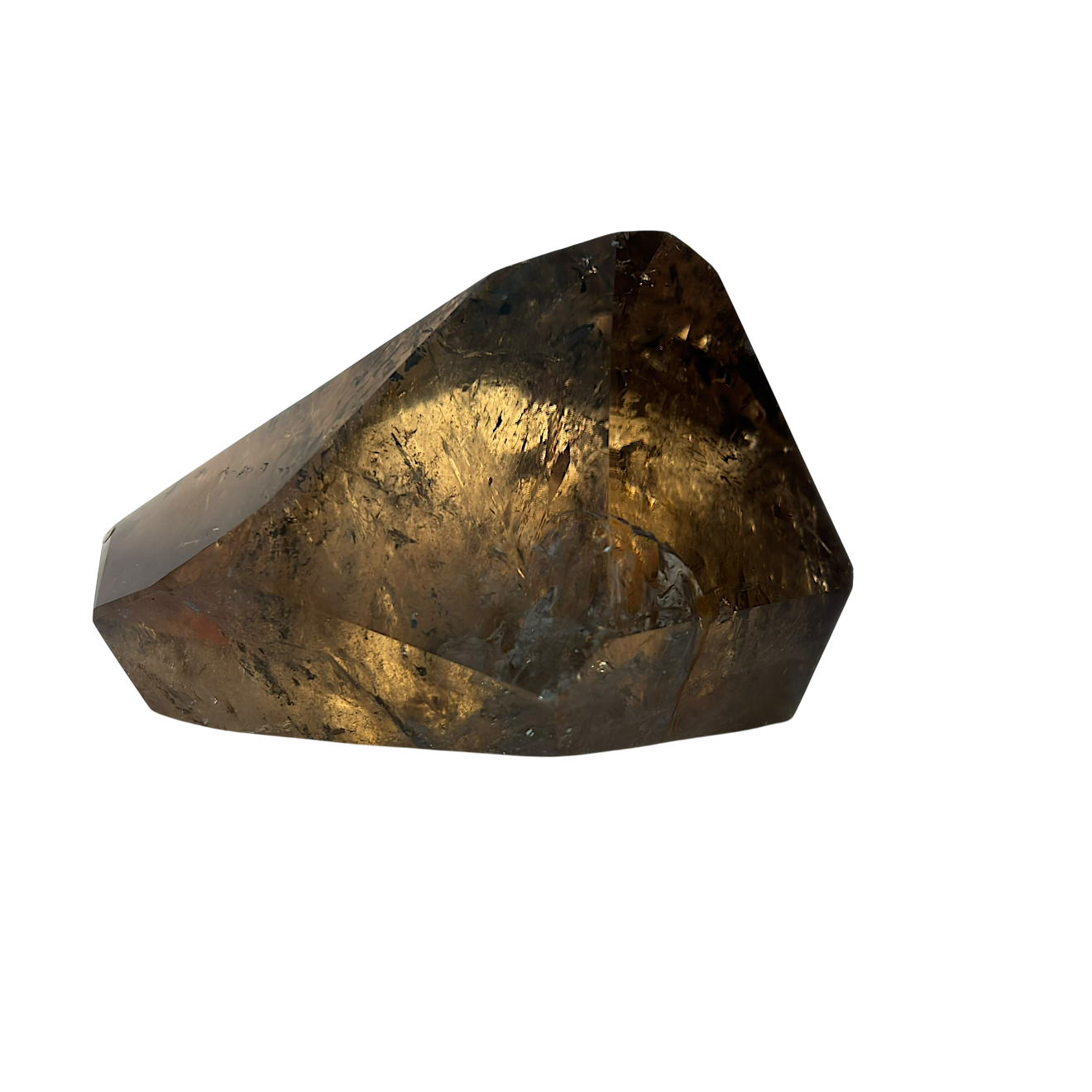 IMG_6306-Photoroom_resized.png