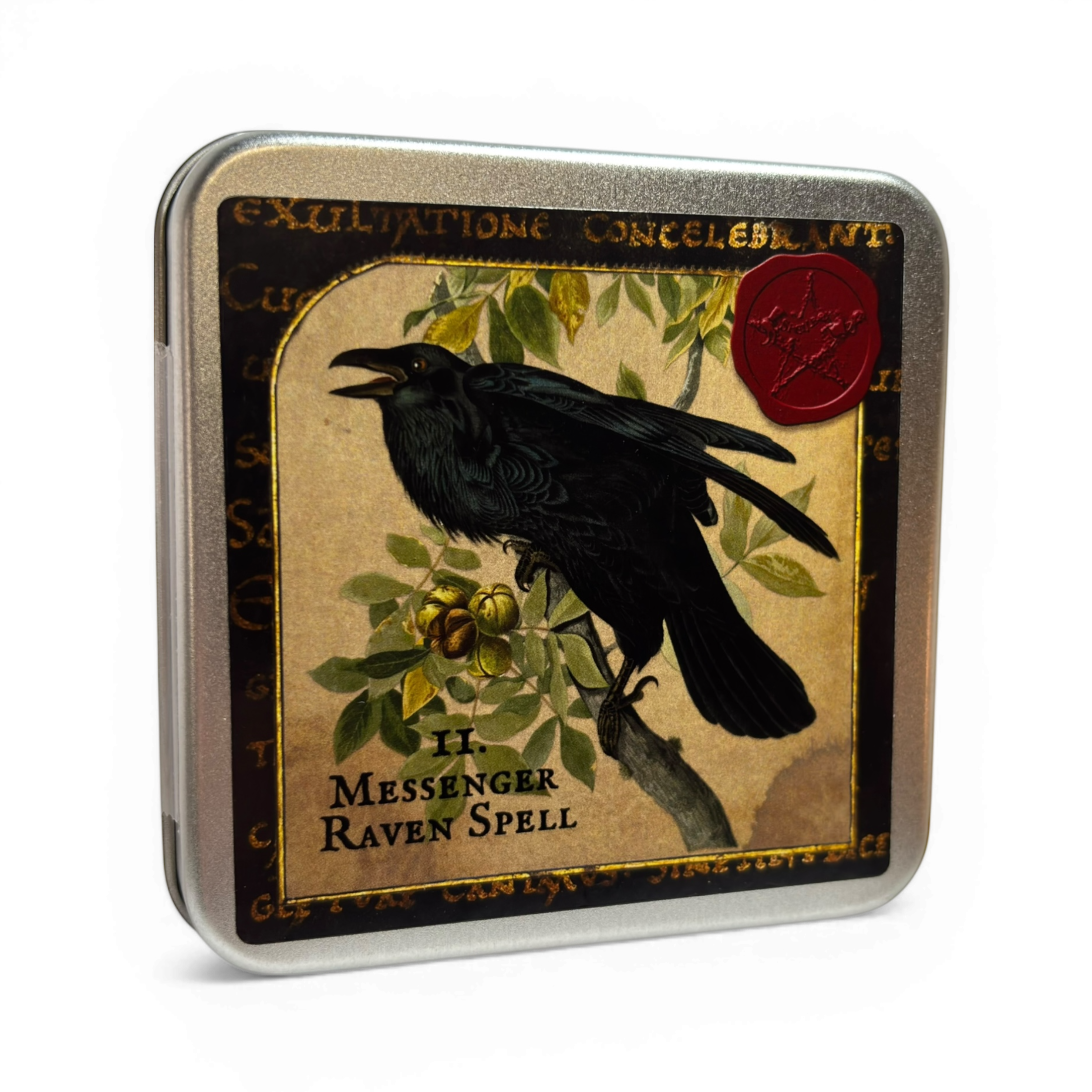 The Witches Wheel Spell 11- The Messenger Raven - Connect with Mystery