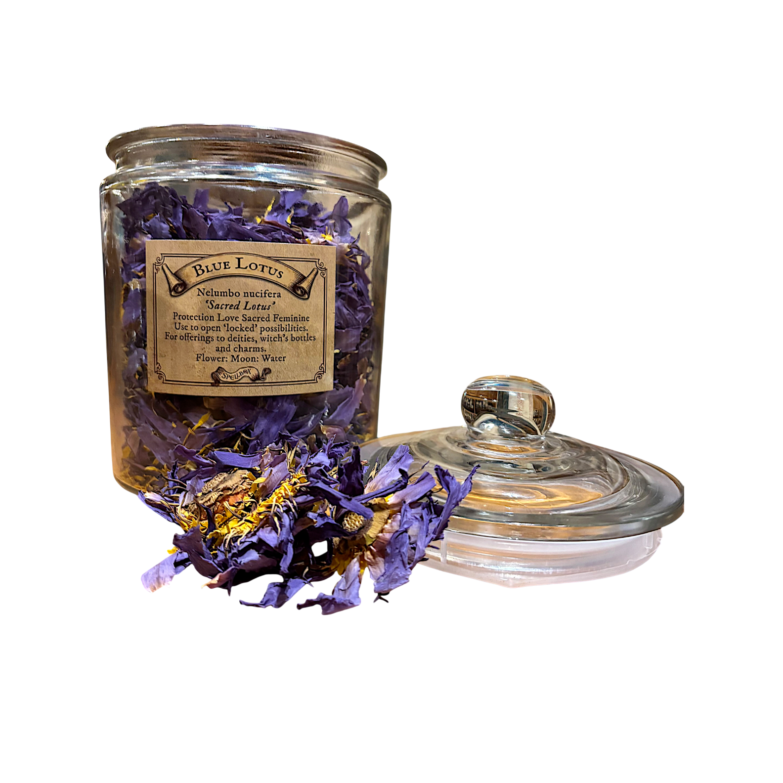 Blue Lotus - Herb of The Sacred Feminine