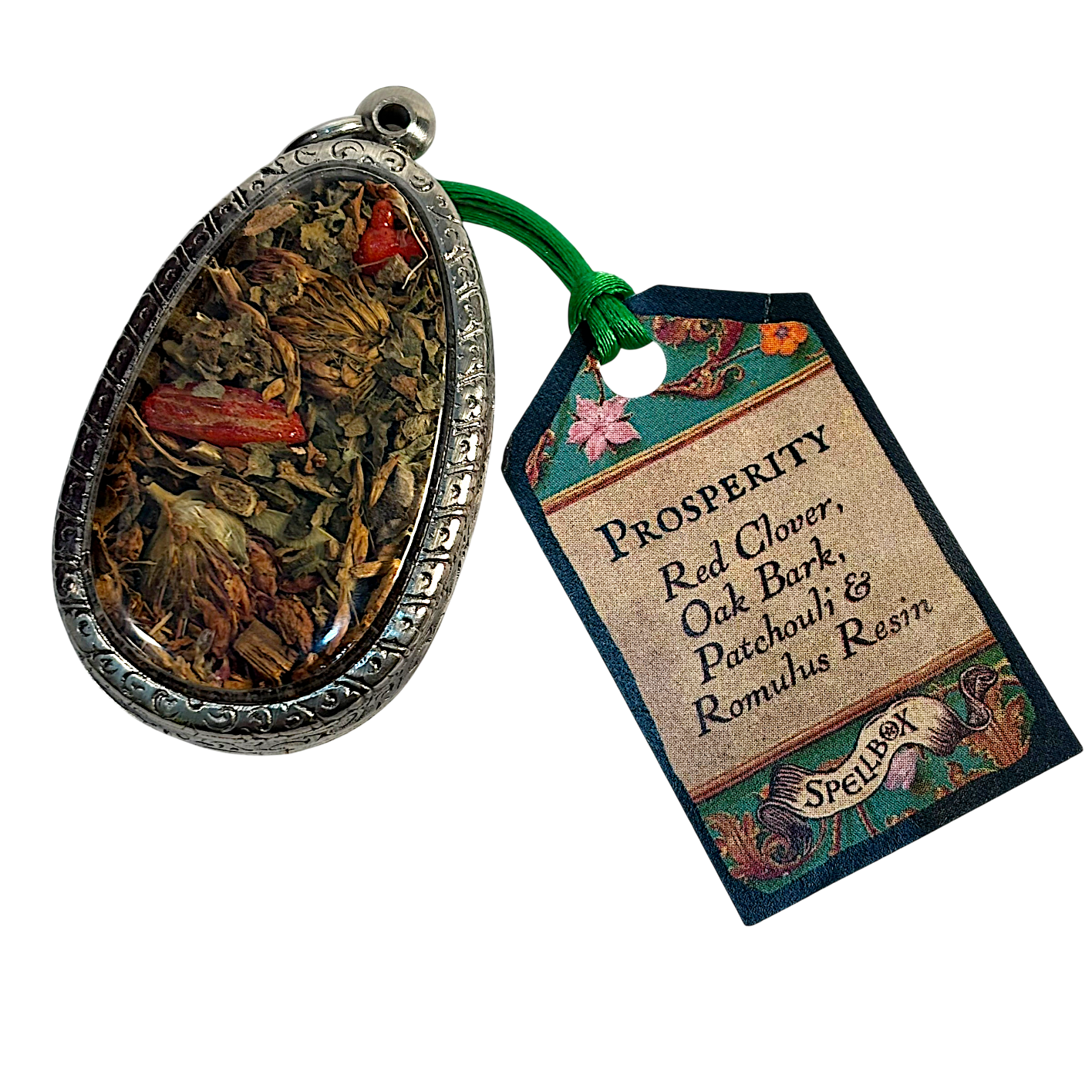 IMG_5307_resized.png