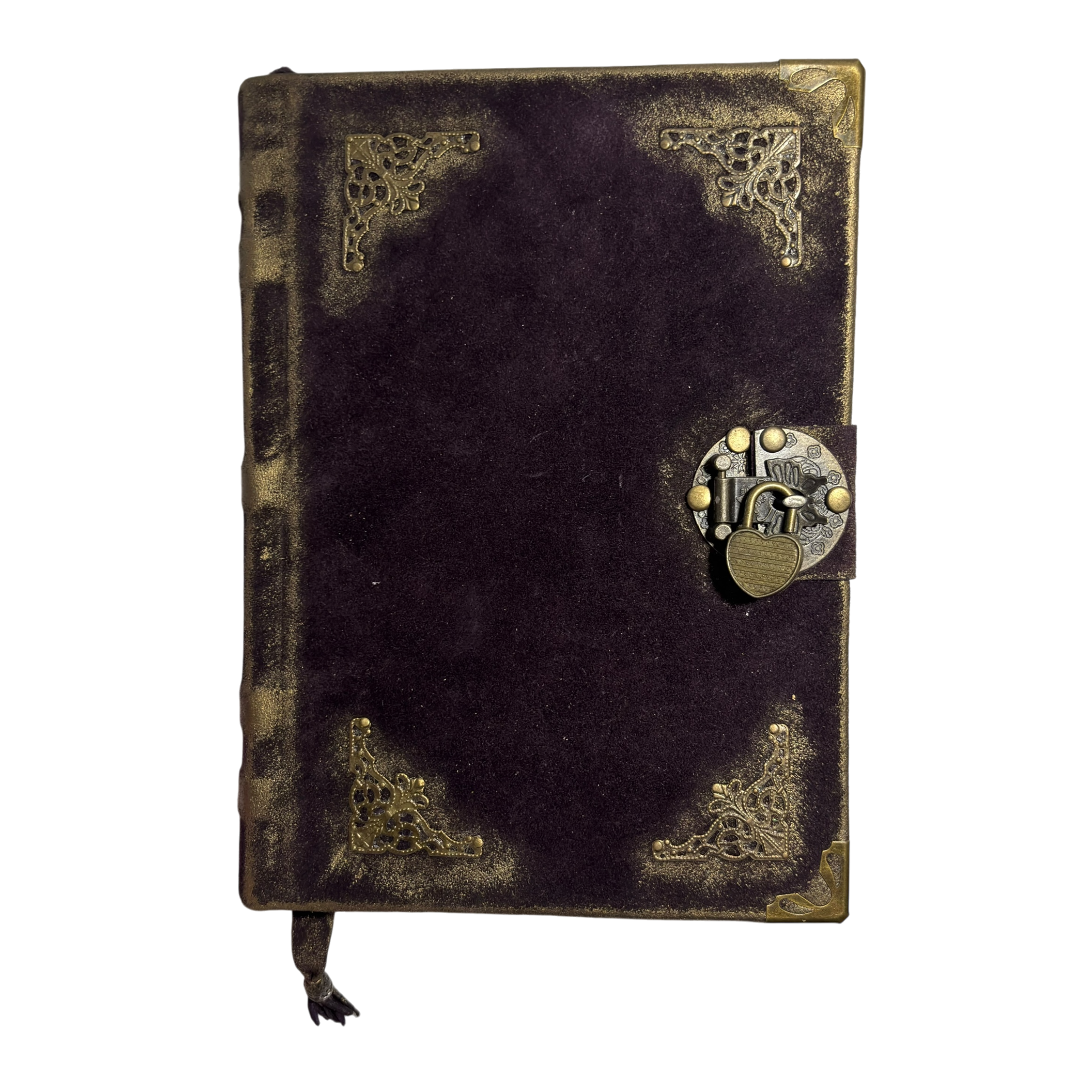 IMG_1669-Photoroom.png