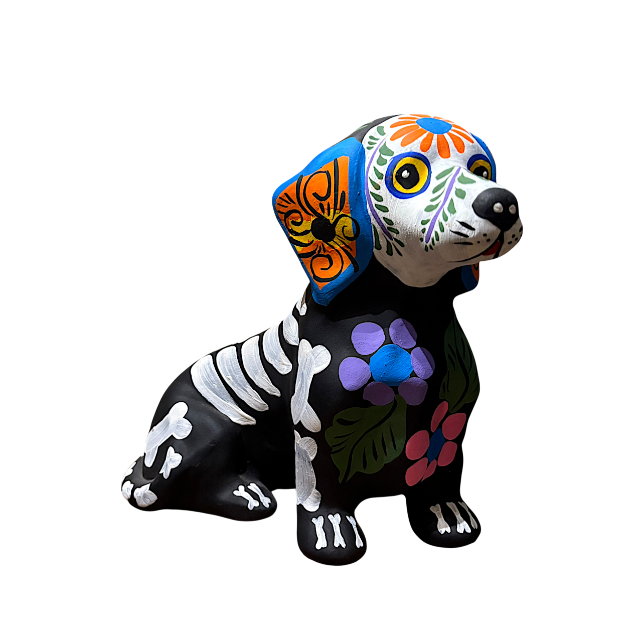 IMG_6590-Photoroom_resized.png
