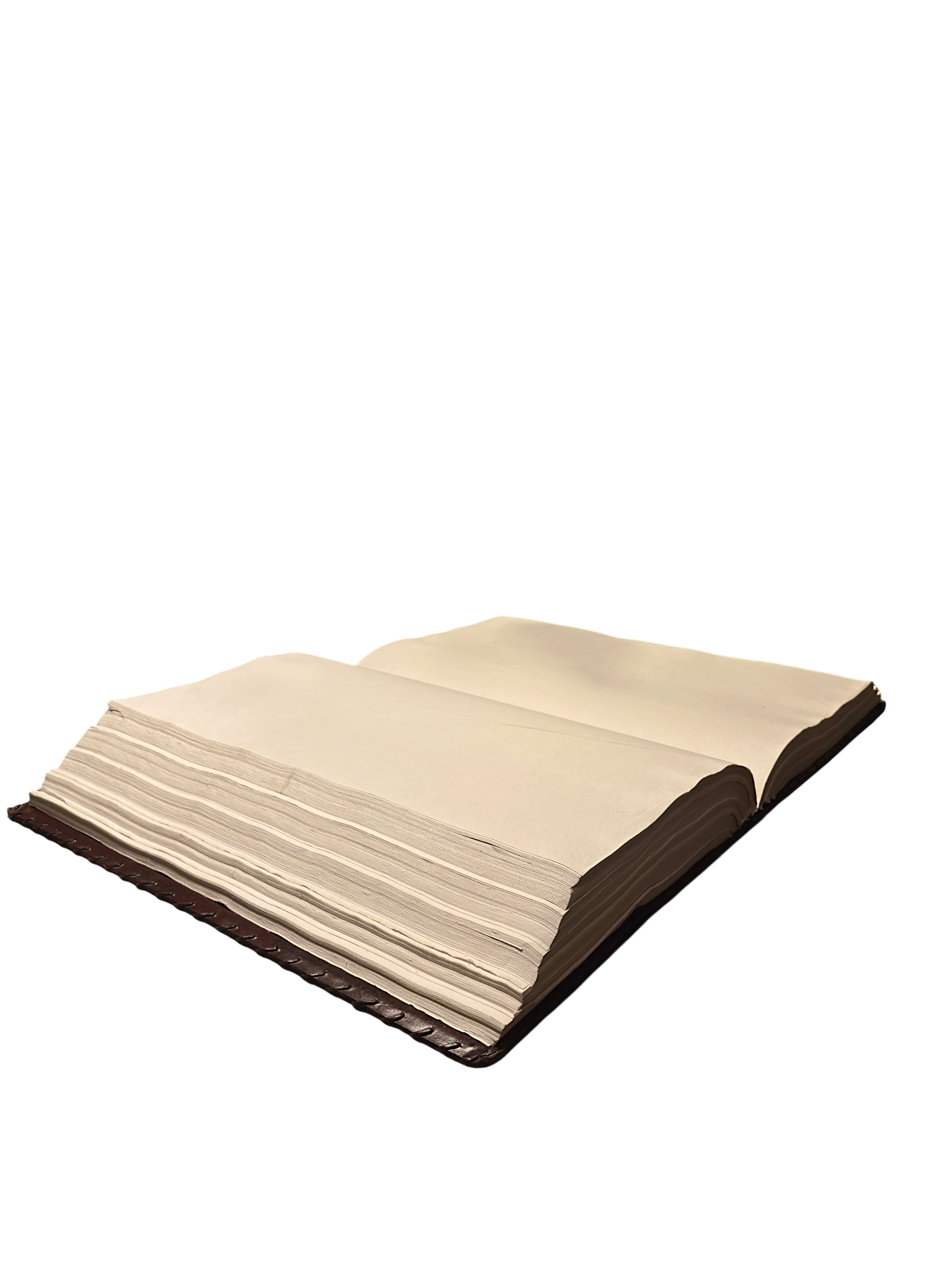 IMG_3736-Photoroom 2.PNG