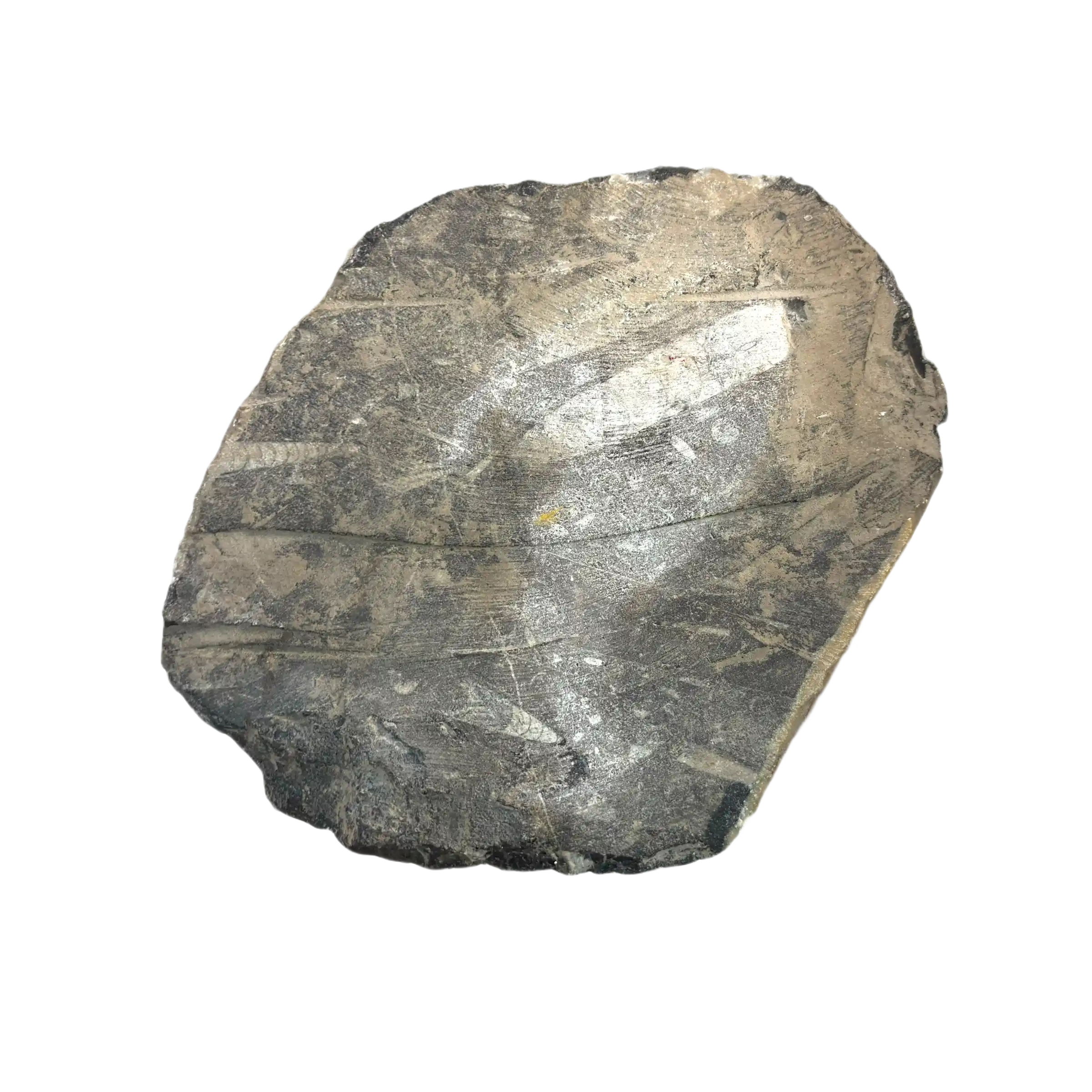 0EEA107A-EB78-44AE-9D65-463E013D2601.png