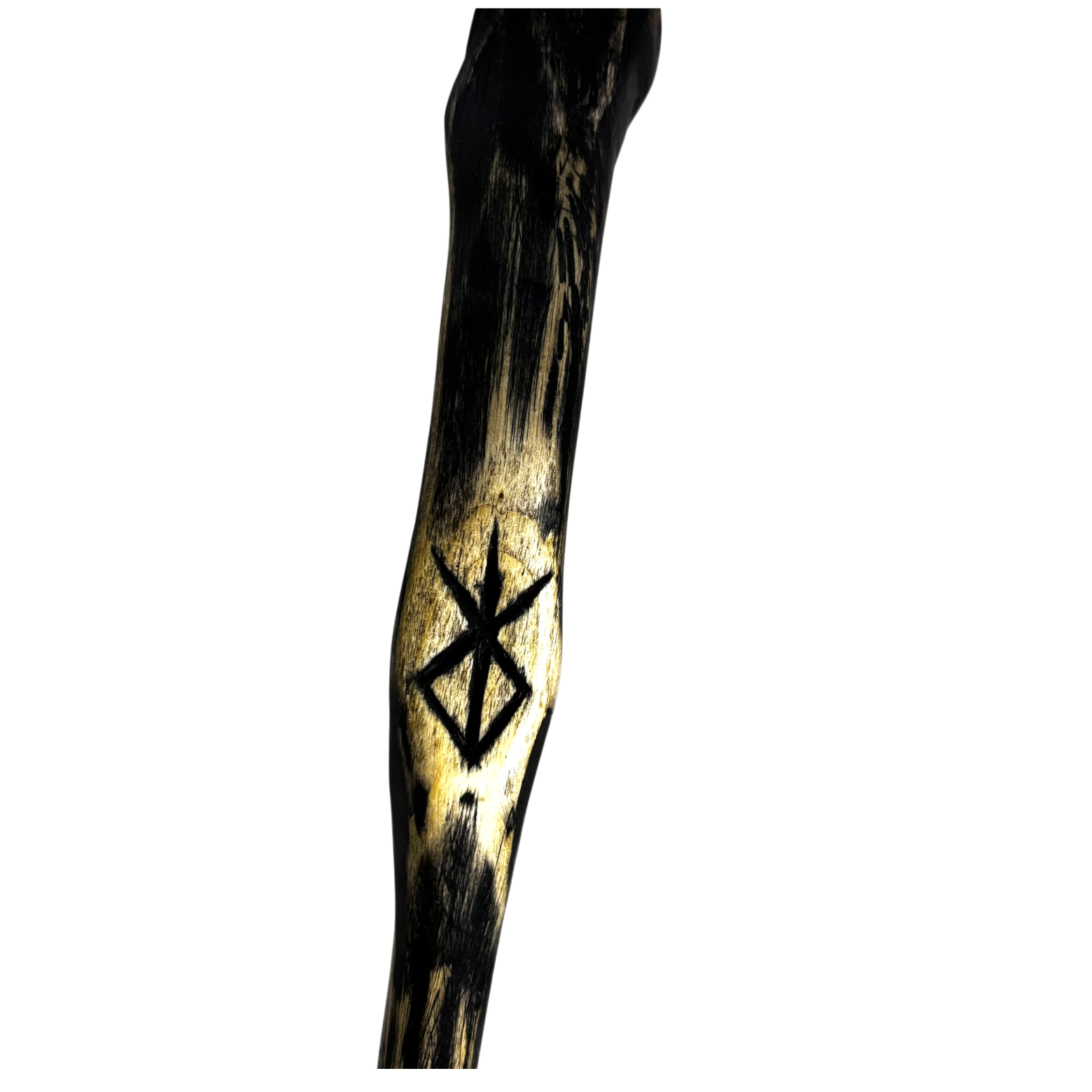 IMG_7107-Photoroom_resized.png