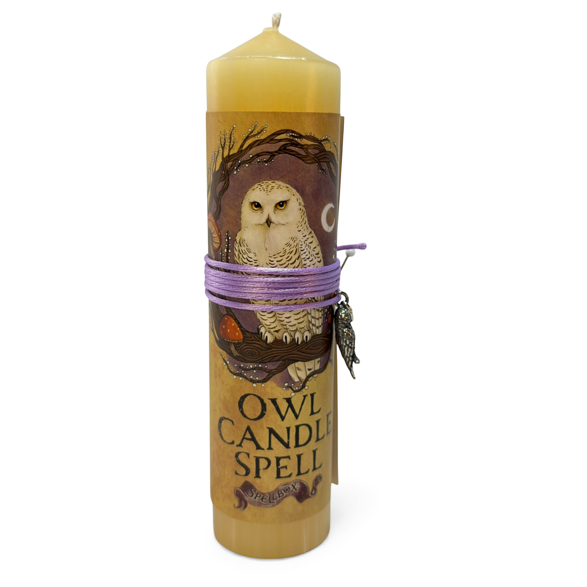 Owl Candle Spell: Wisdom