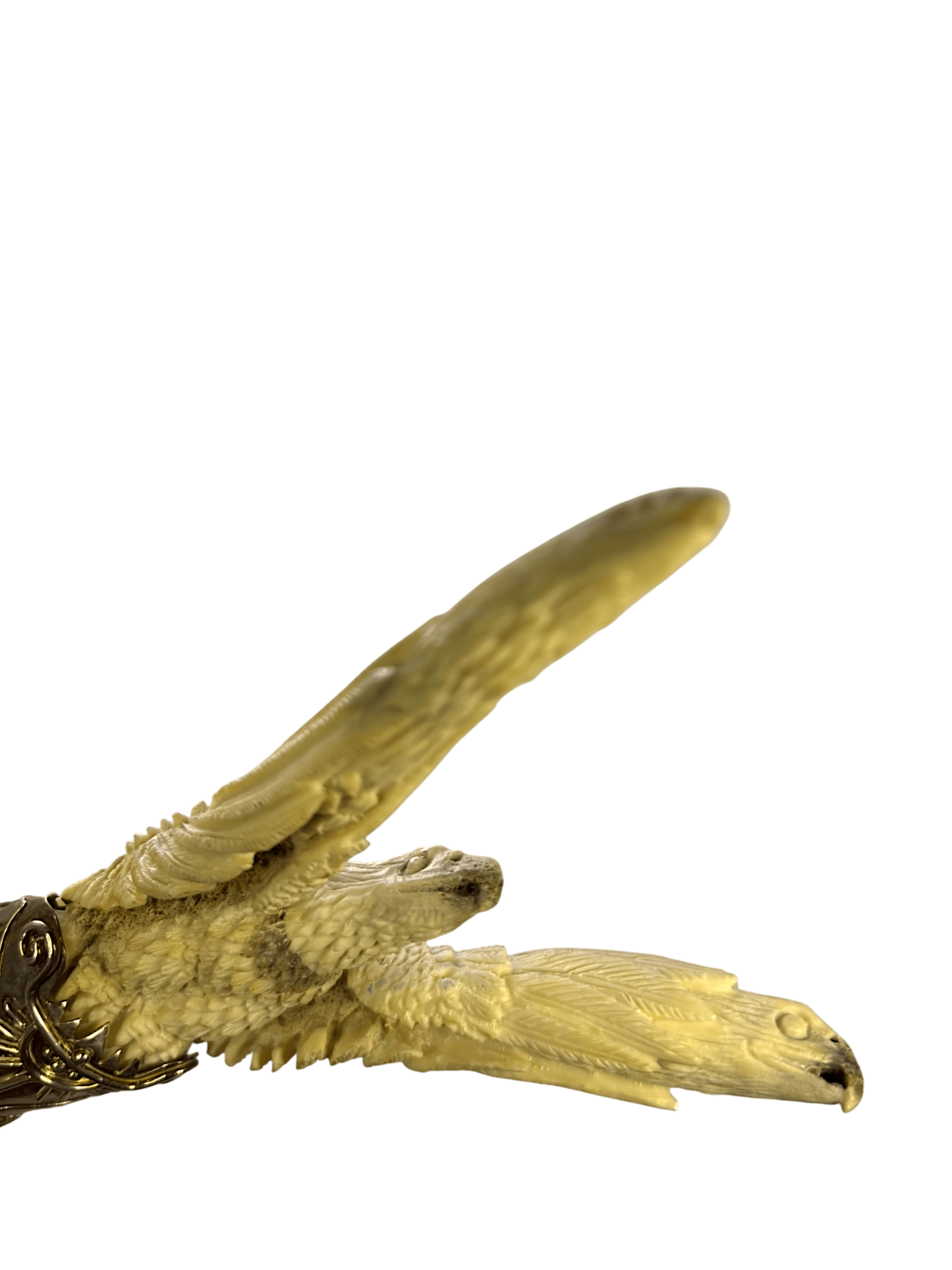 IMG_4039-Photoroom.png