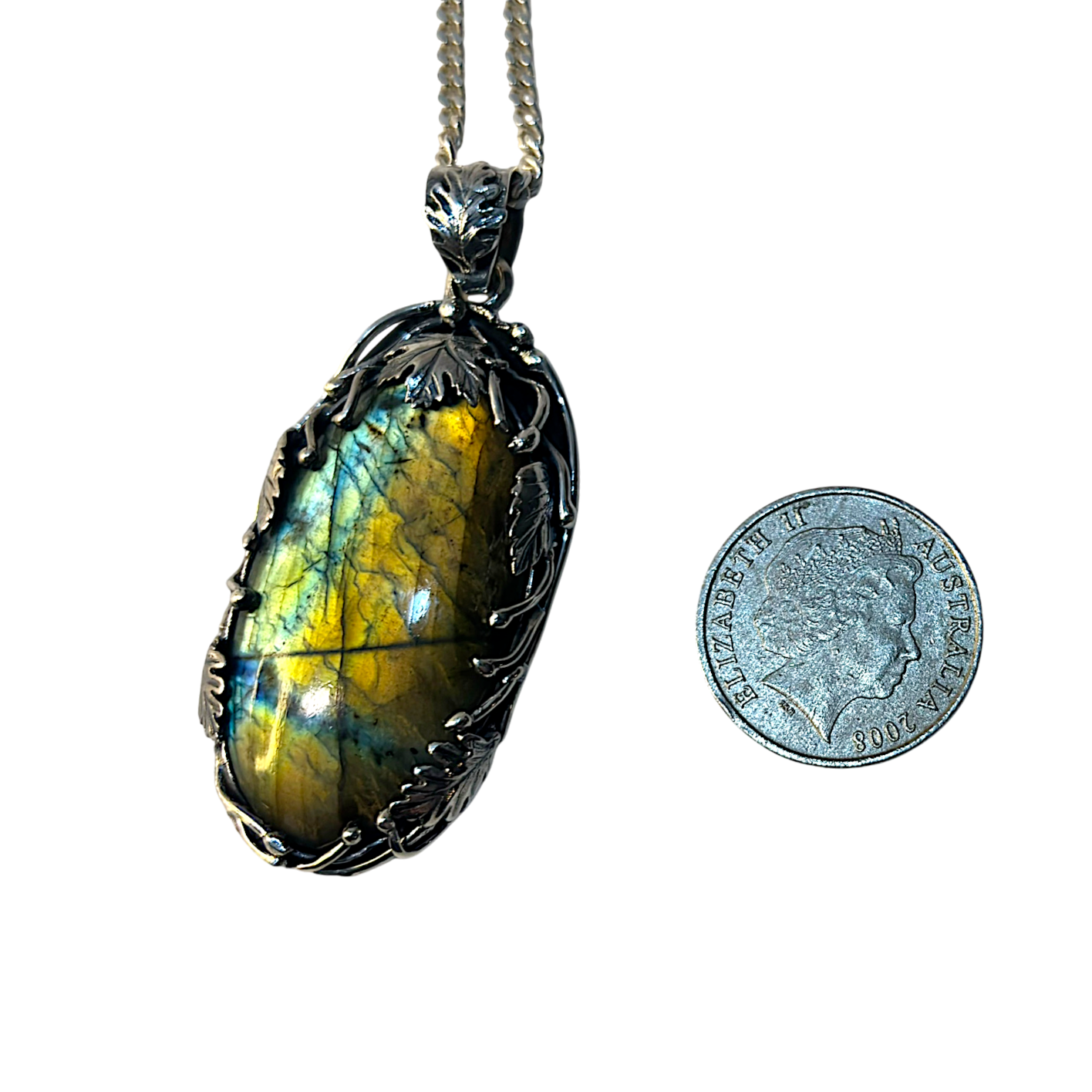 IMG_5316_resized.png