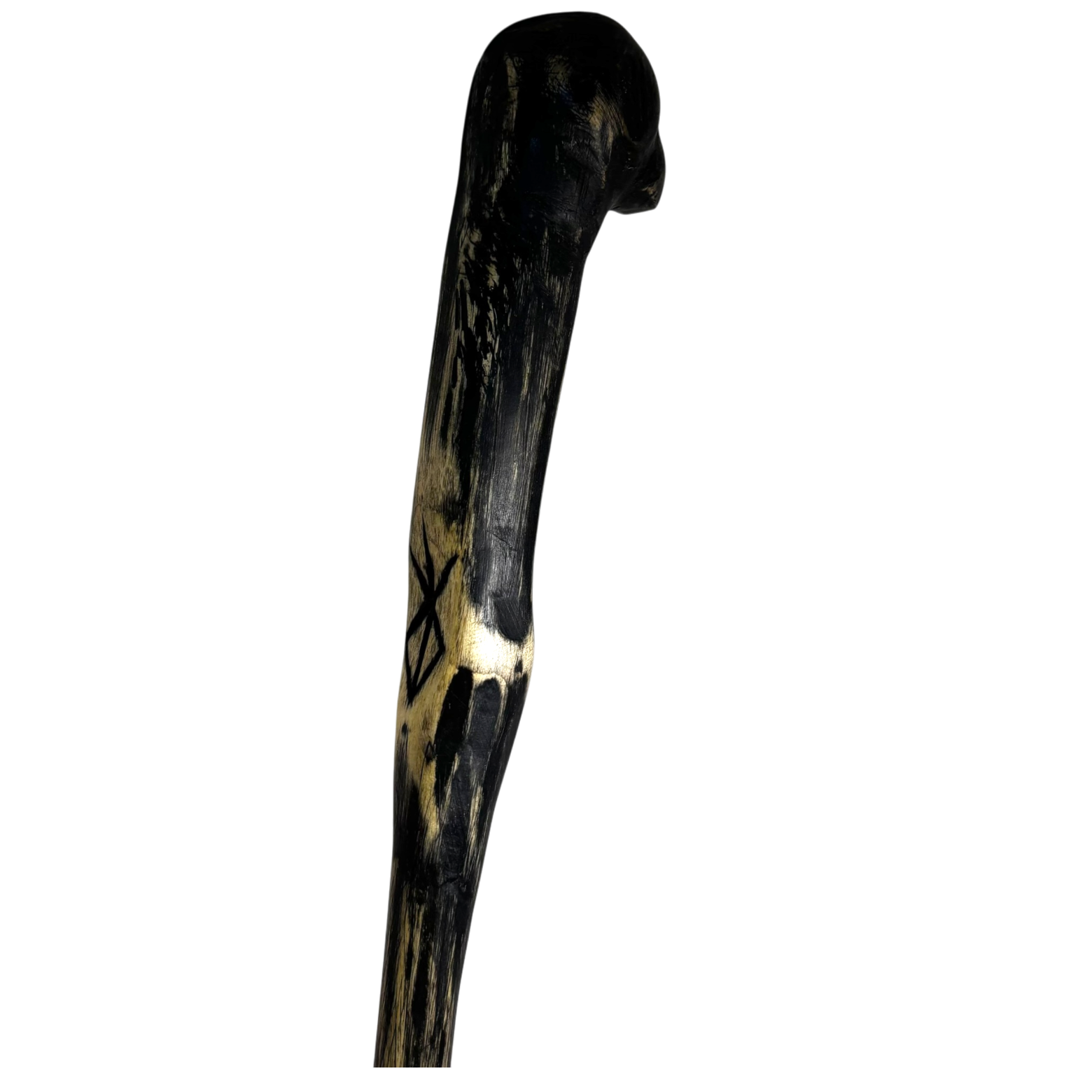 IMG_7108-Photoroom_resized.png