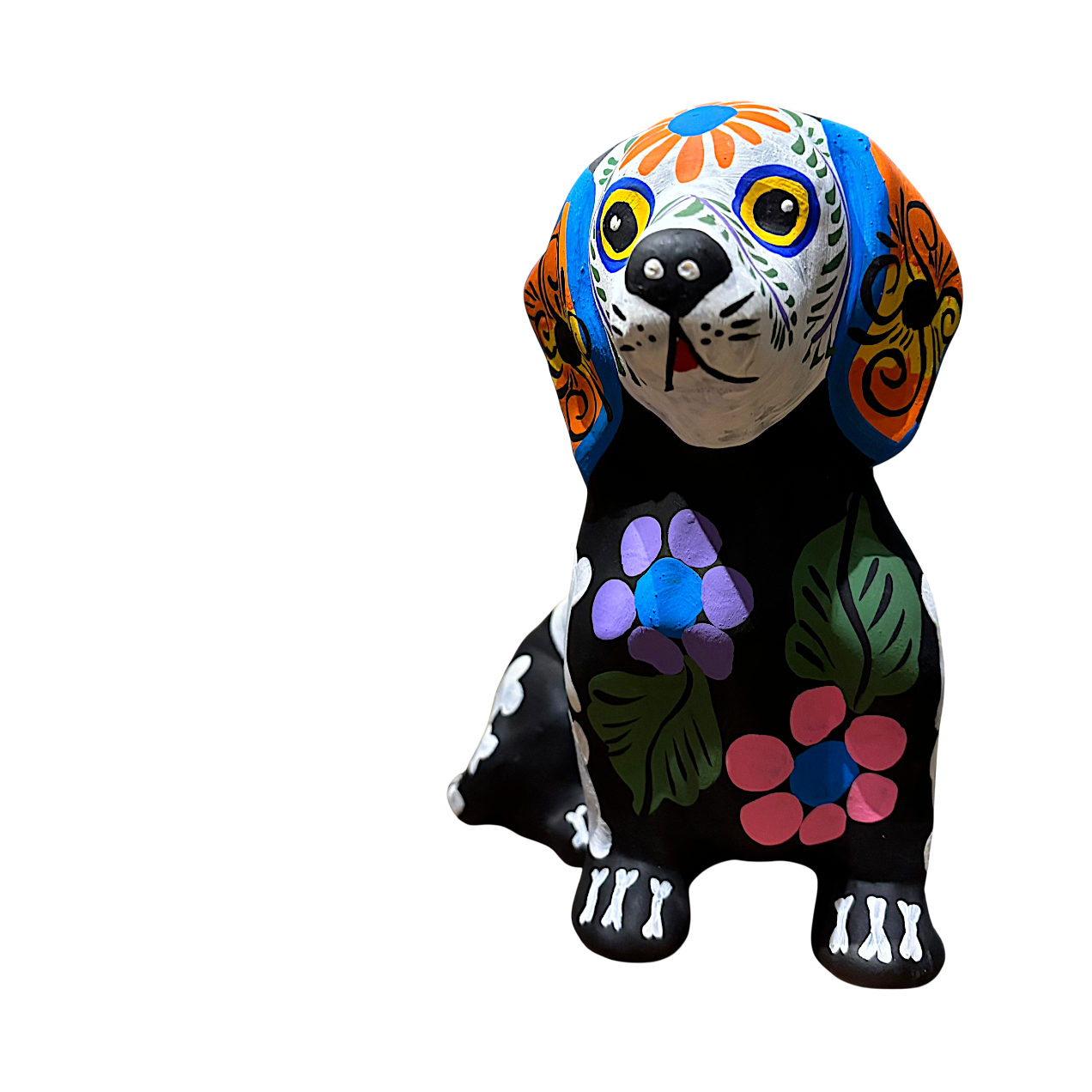 IMG_6592-Photoroom_resized.png