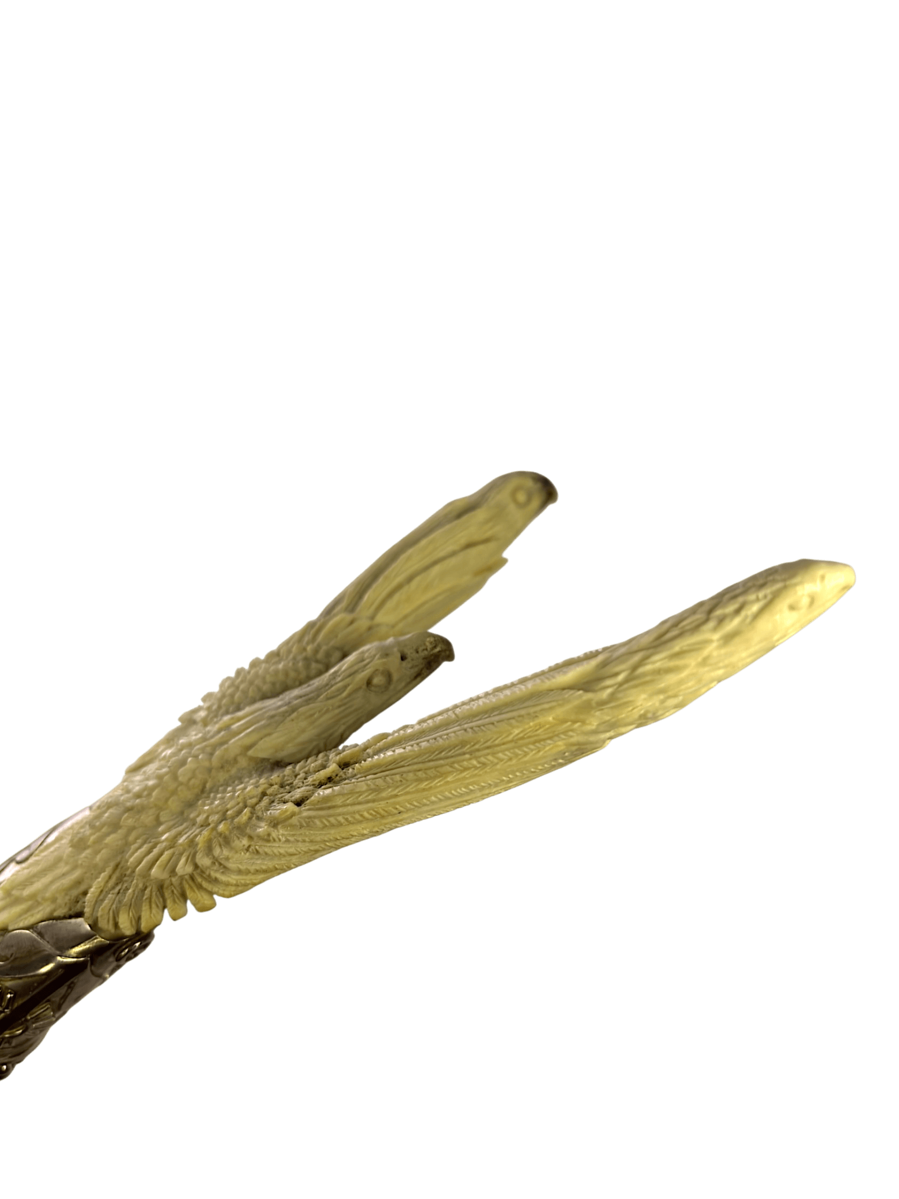 IMG_4037-Photoroom.png