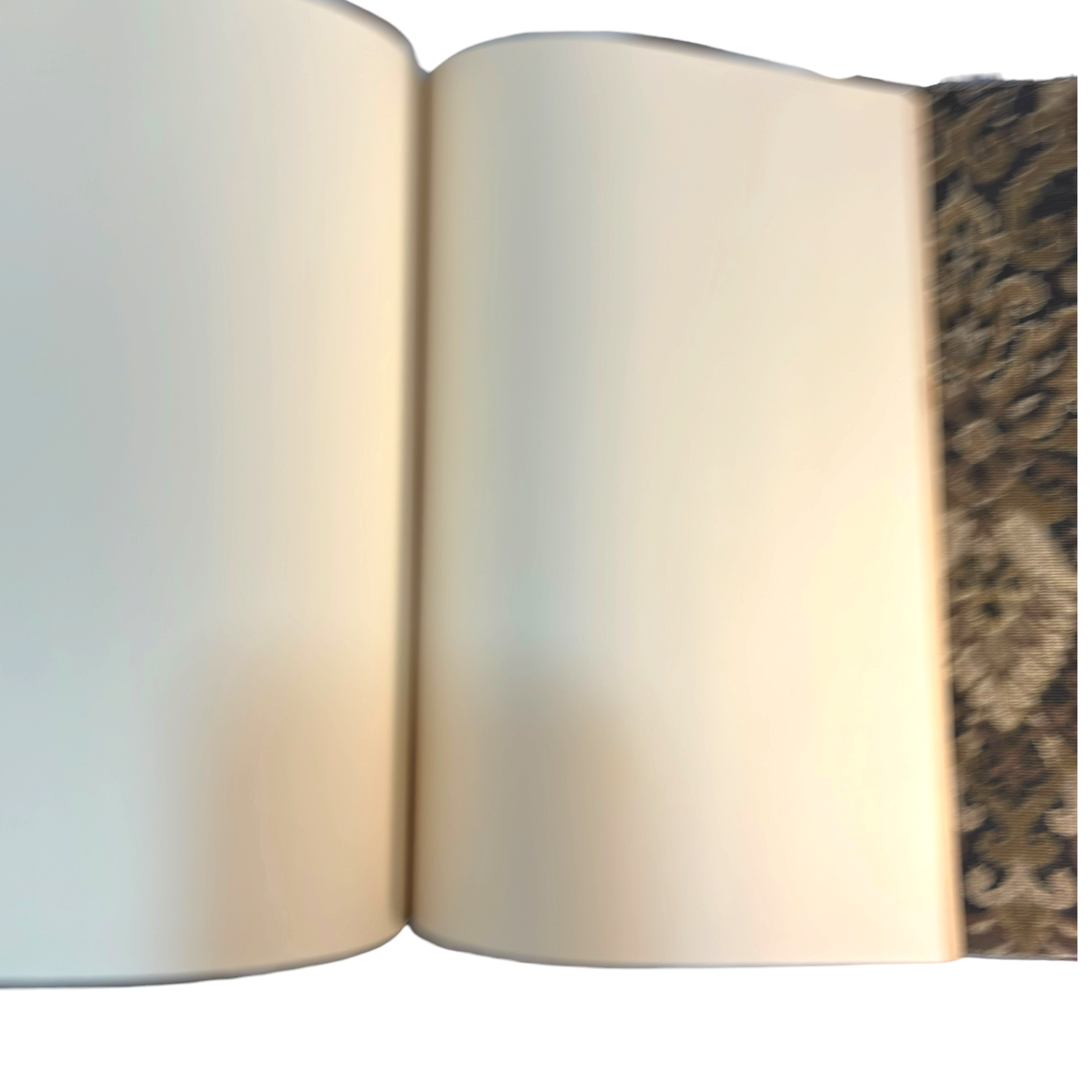 IMG_4849-Photoroom.png