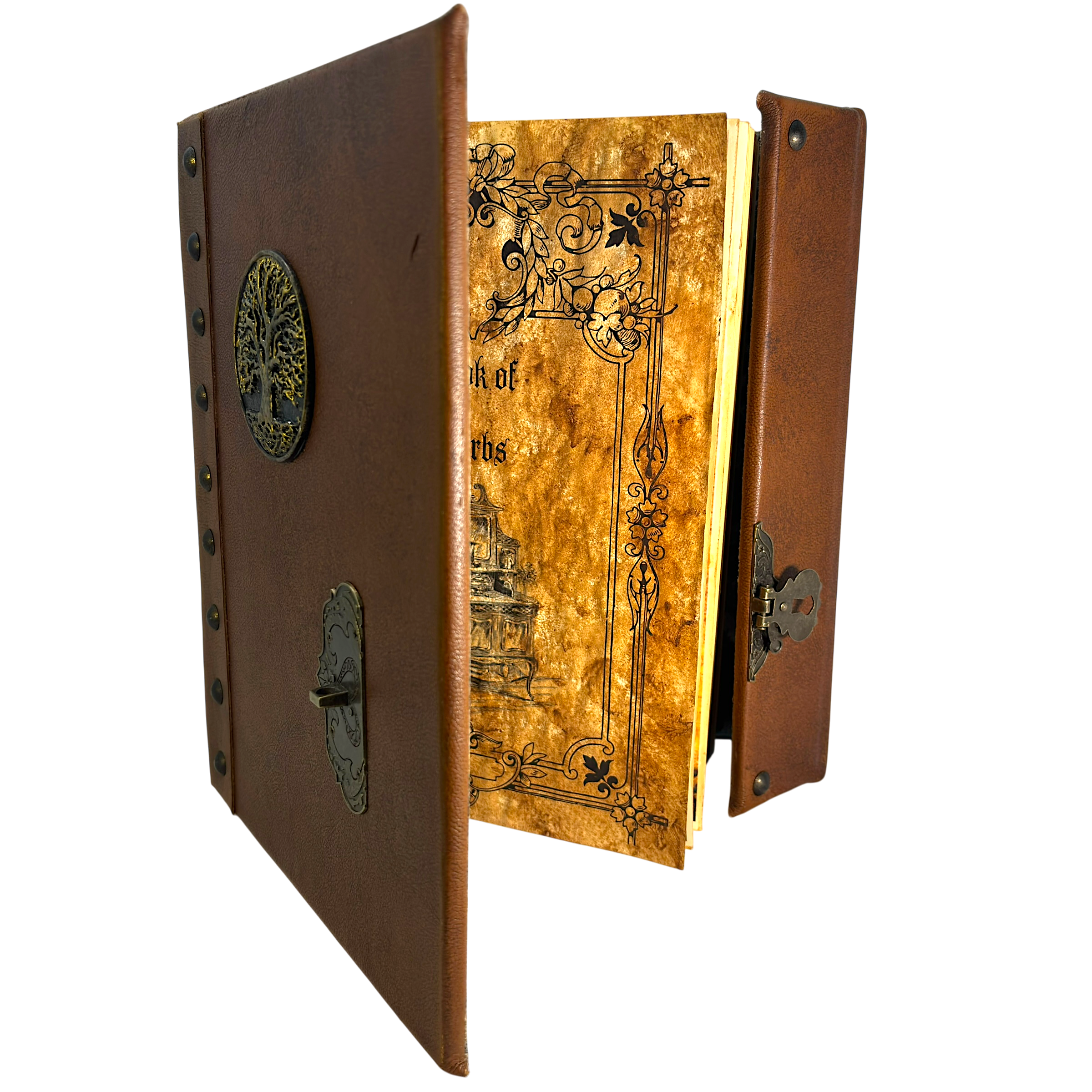 IMG_4835-Photoroom.png