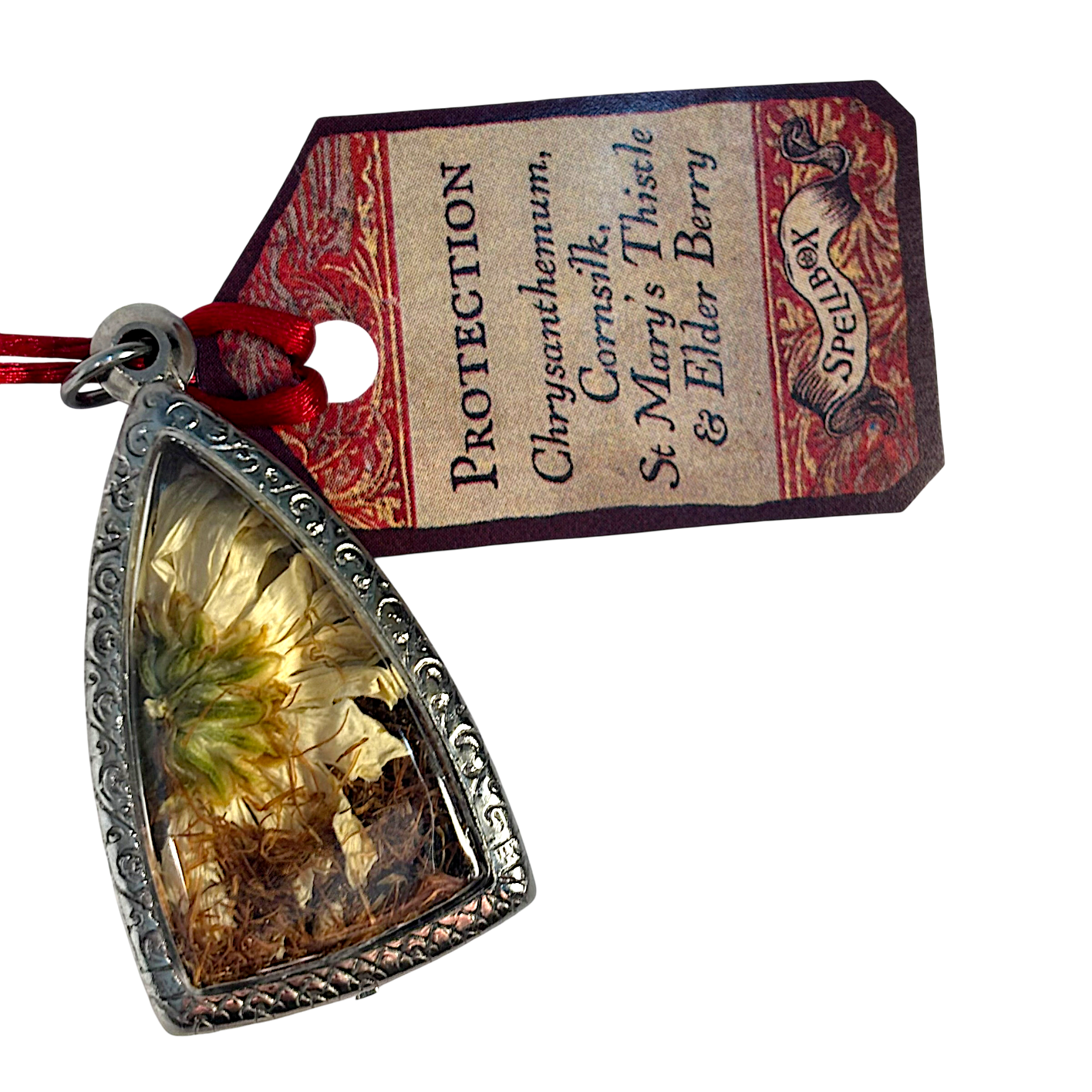 IMG_5312_resized.png