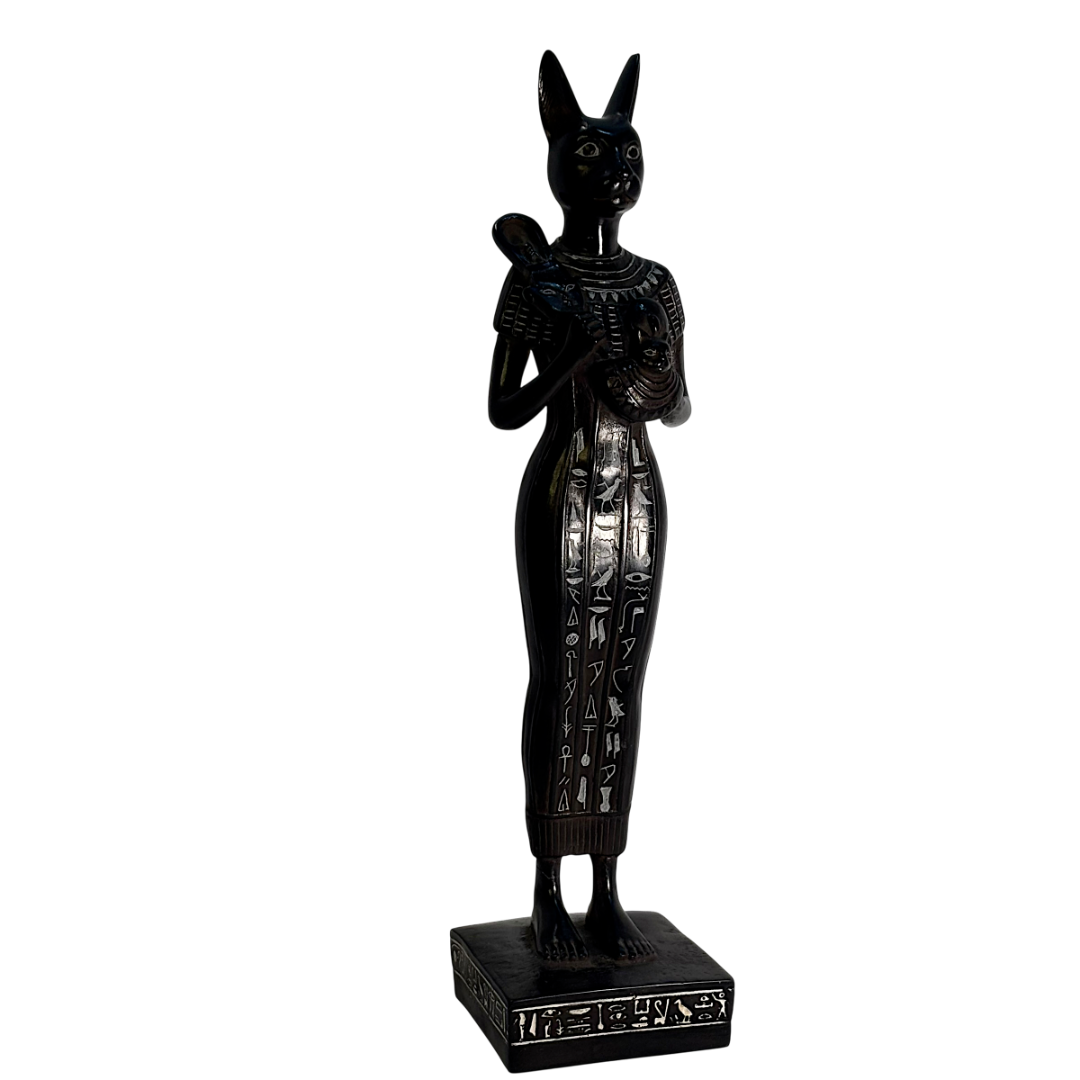 IMG_5564-Photoroom_resized.png