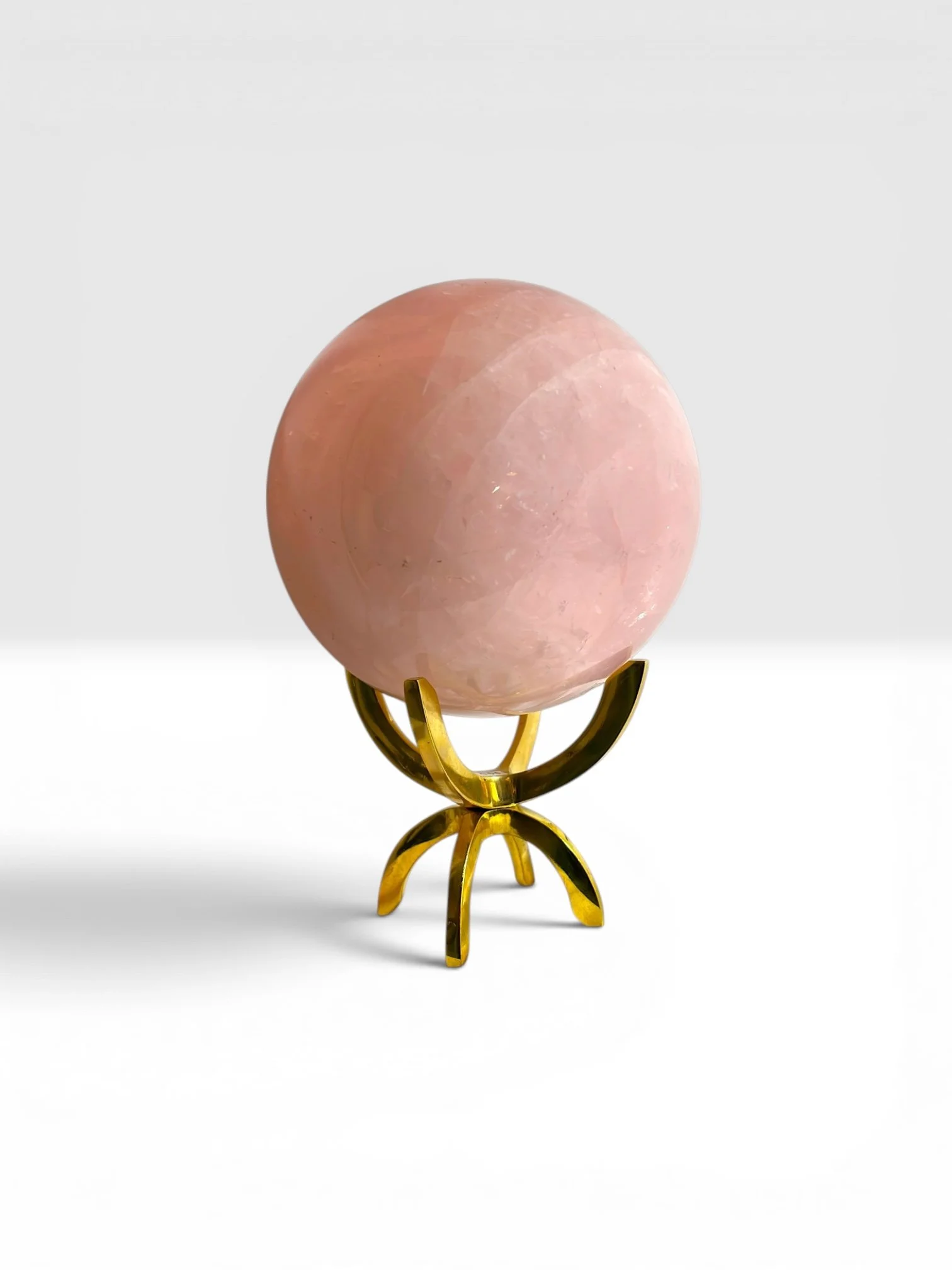 n.jpg