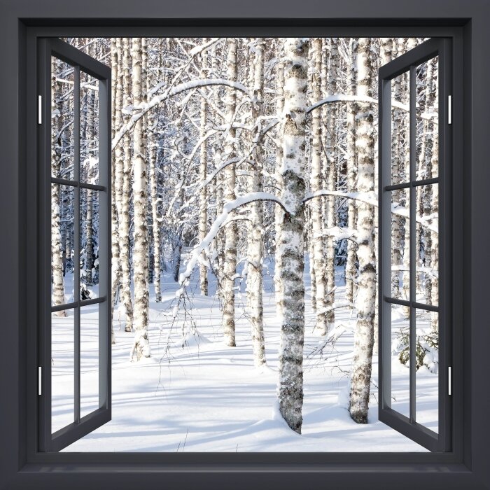 Who Closed the Windows?