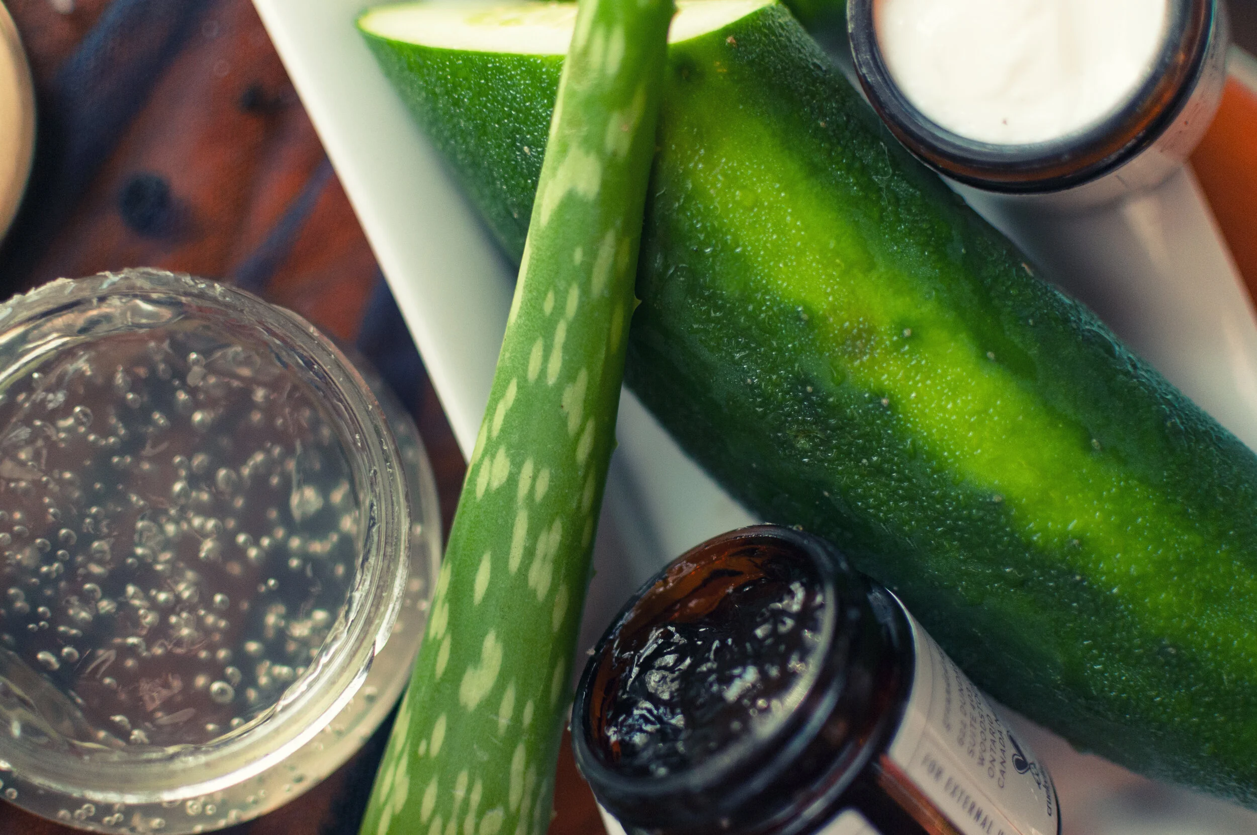 Aloe022.JPG