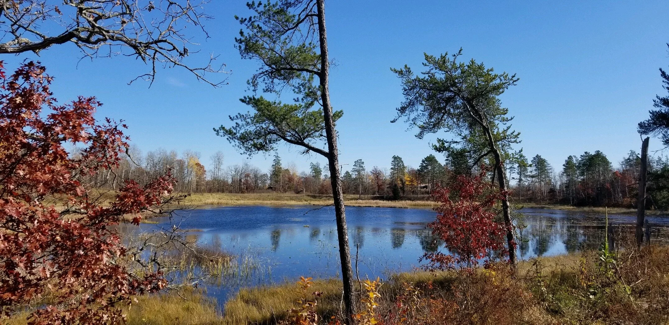 Northern minnesota addiction wellness center