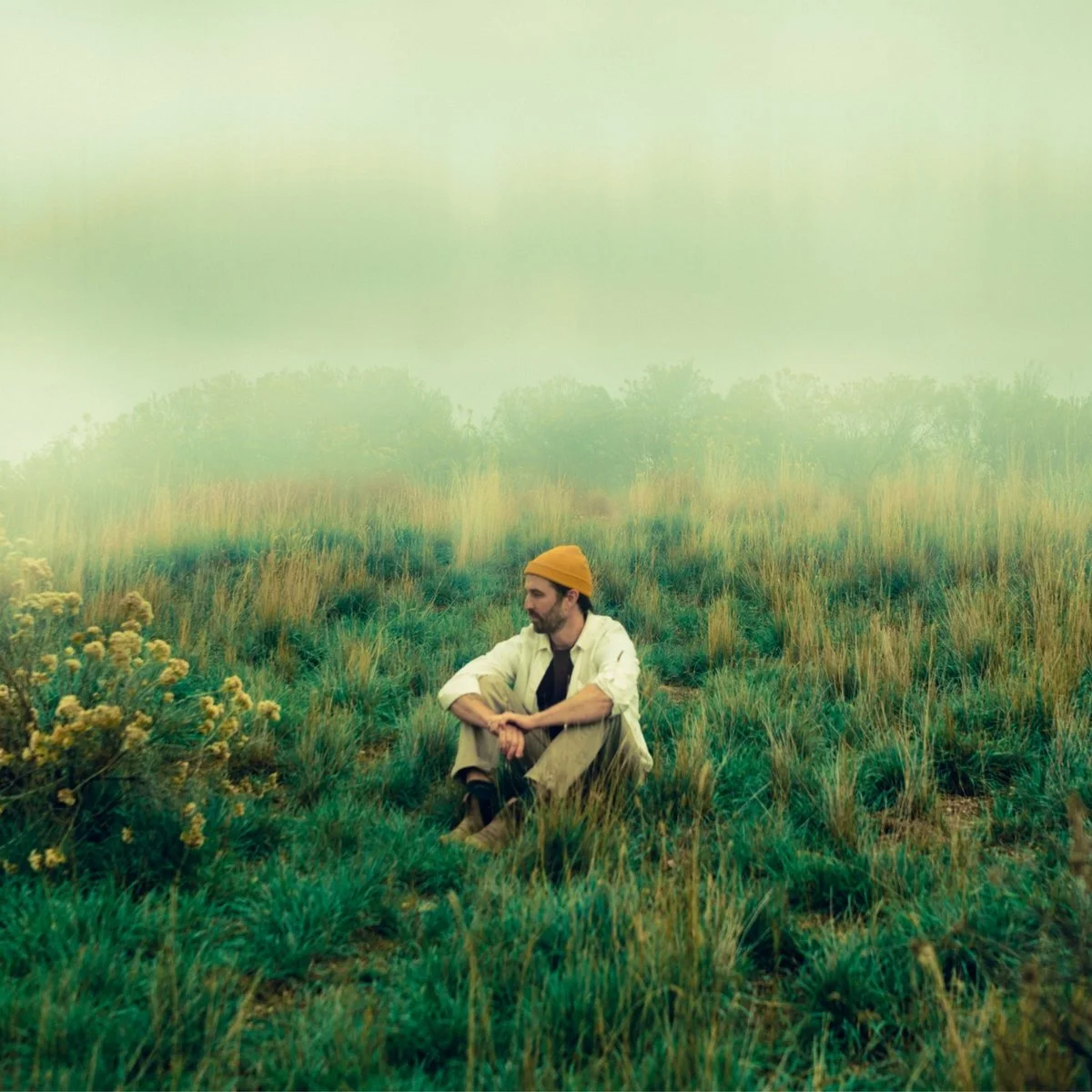 randy miles - dandelion.jpg