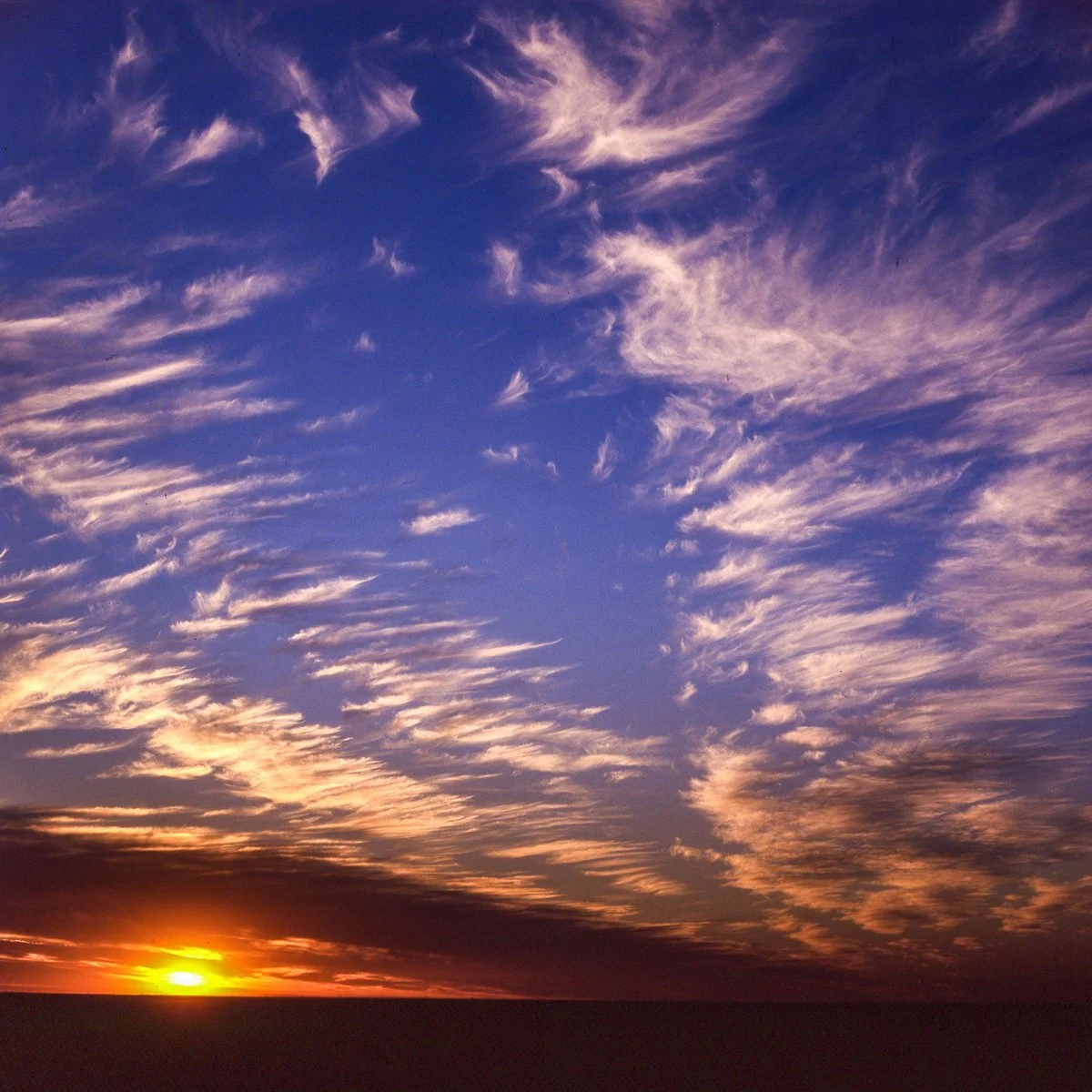 trevor mcspadden - amarillo sunset.jpg