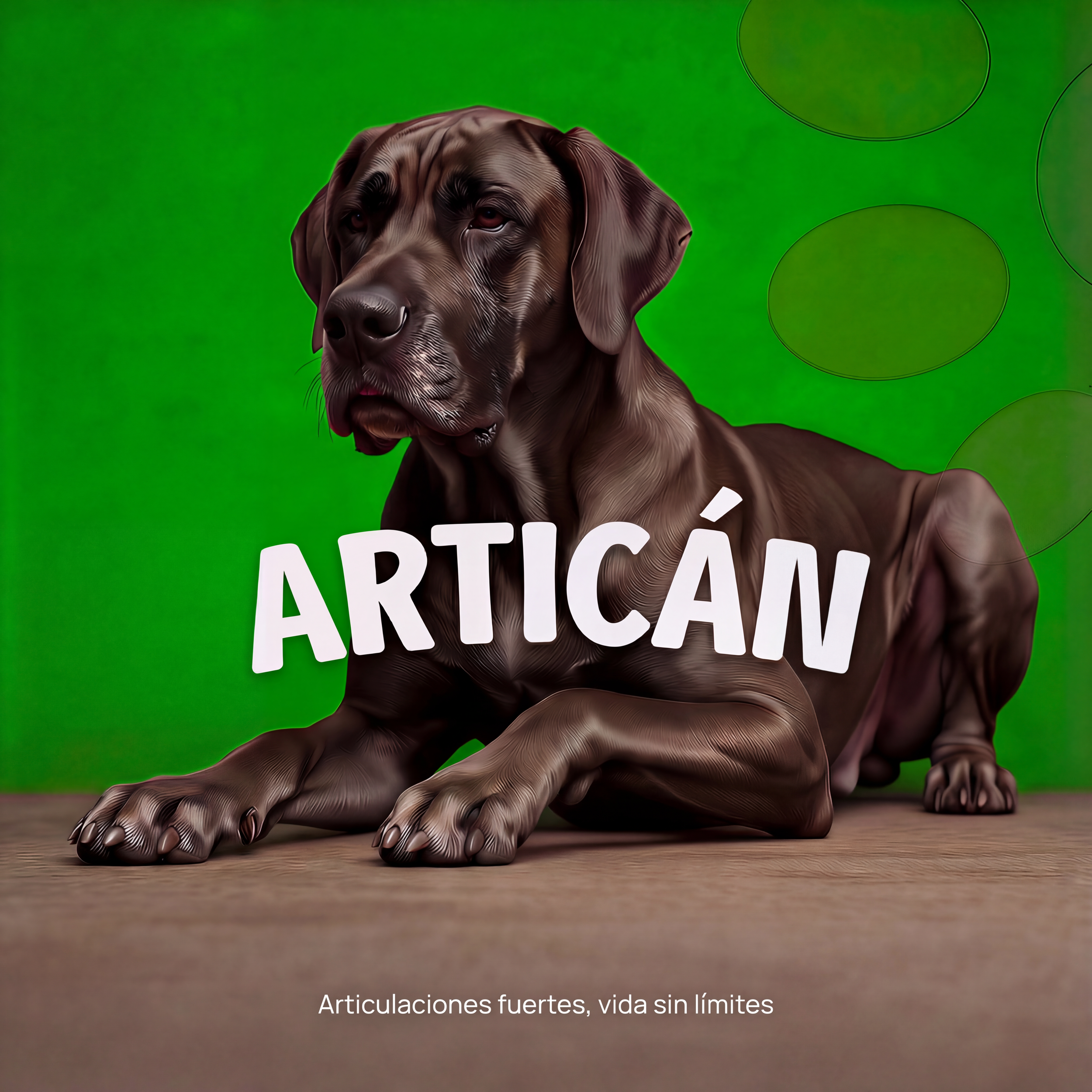 suplemento-movilidad-perros-artican