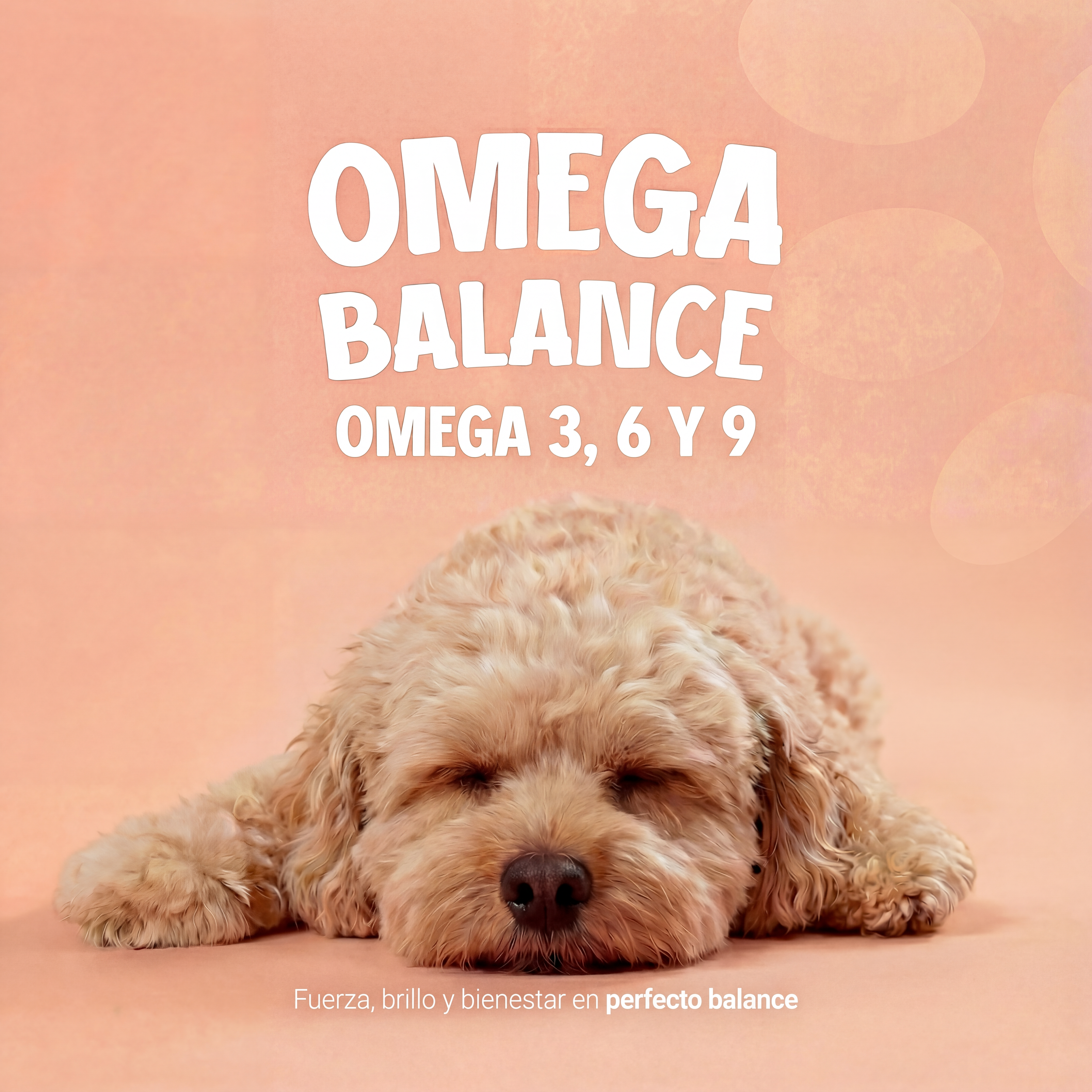 Omega_Balance_Final_Tagline.png