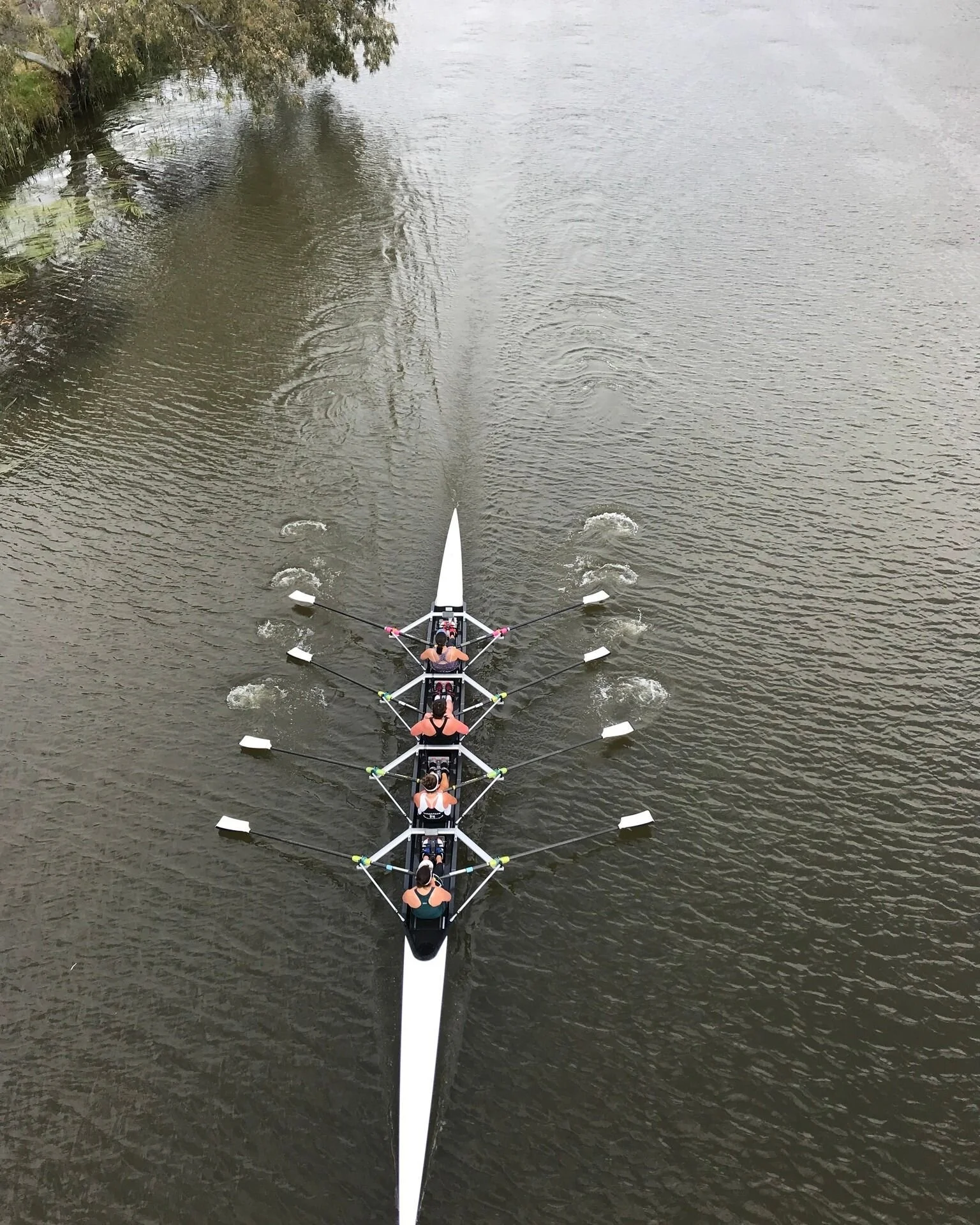 Barwon Rowing Club