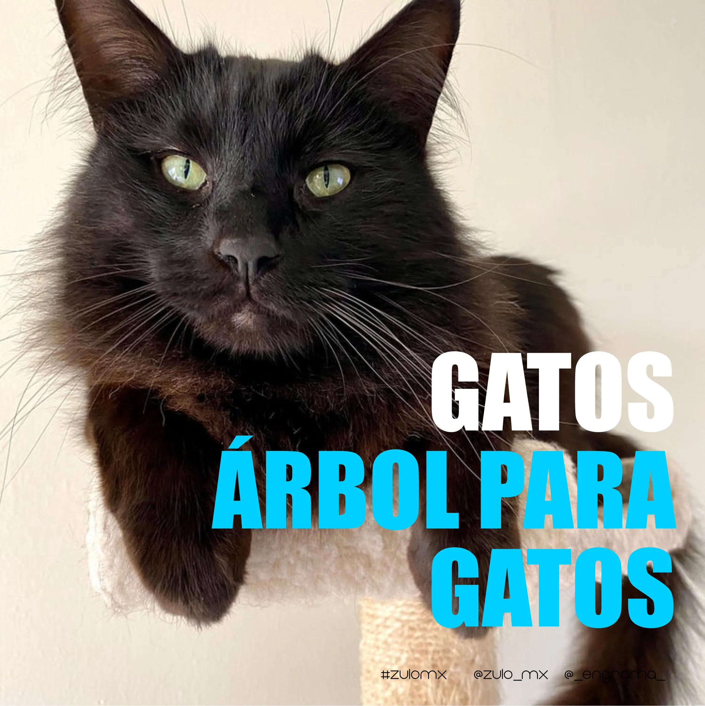 ArbolGatos-01.jpg