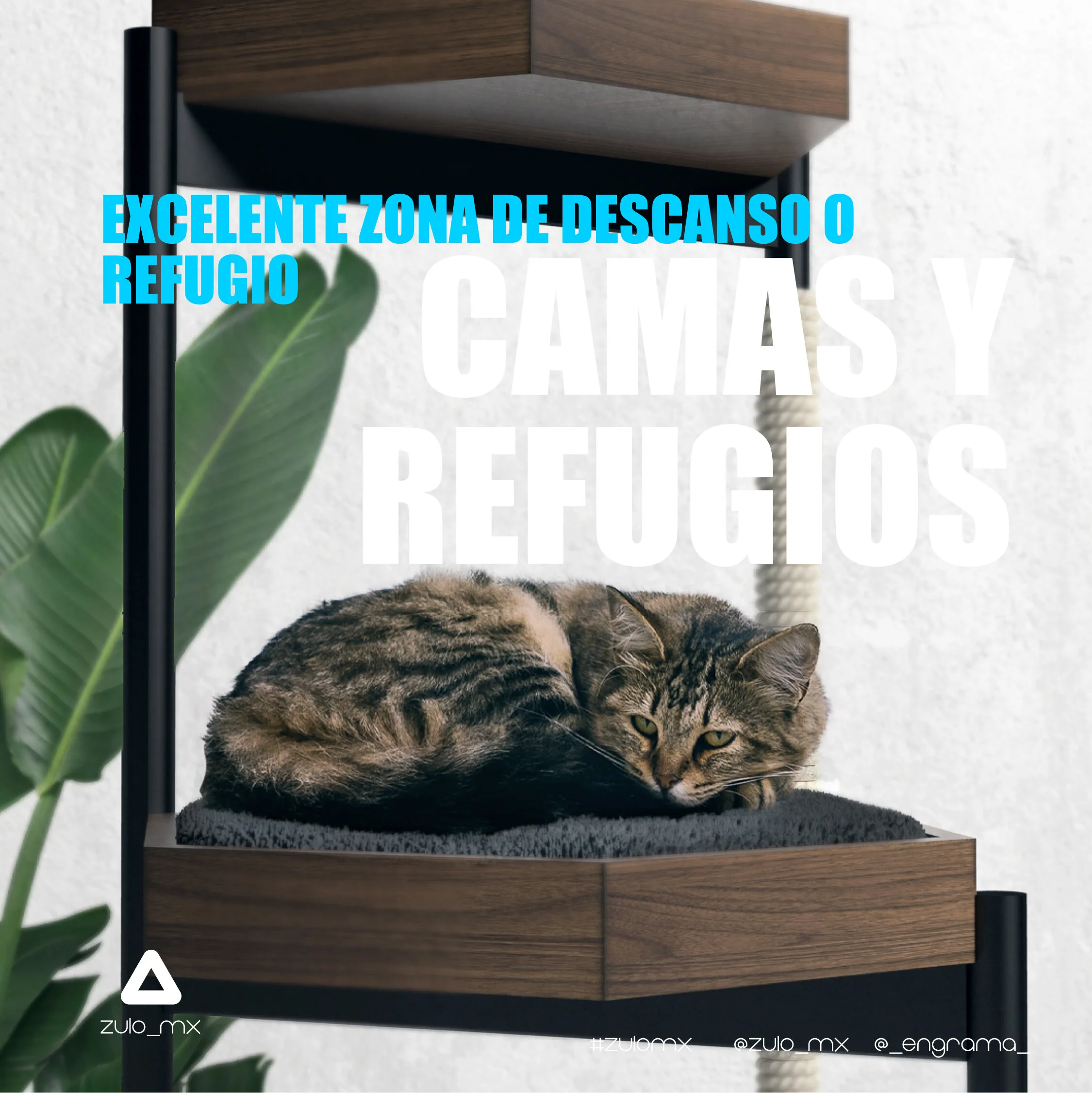 ArbolGatos-04.jpg