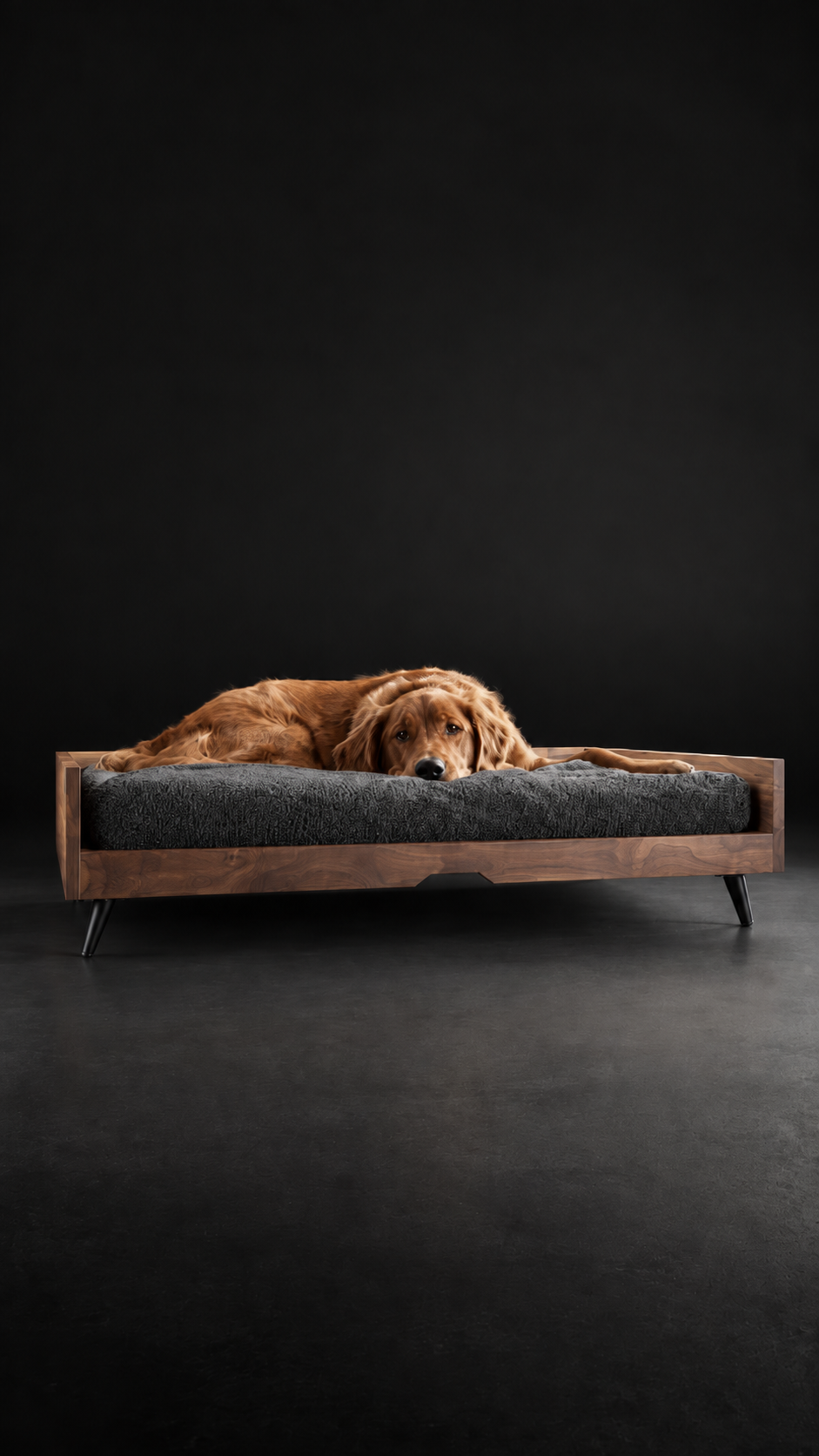 Cama Elevada para perro | razas medianas y grandes