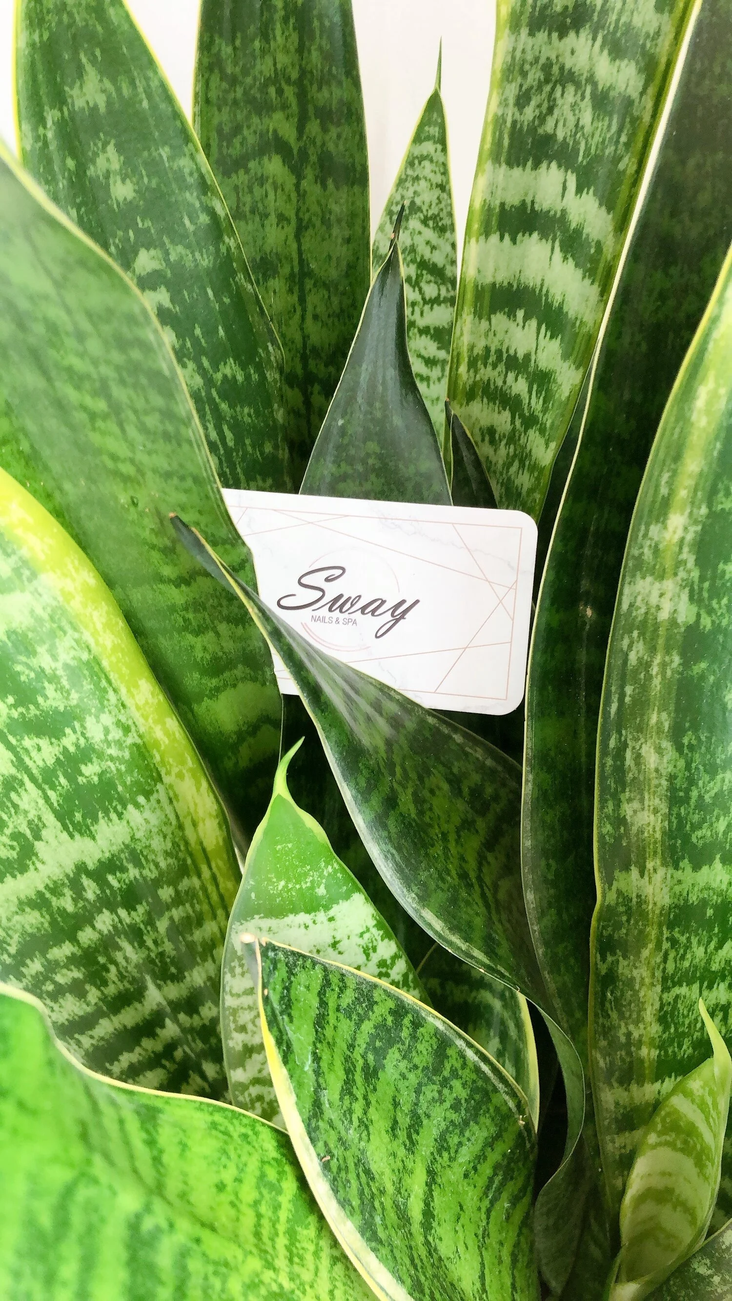 Digital Gift Cards: The Gift Of Self-Care