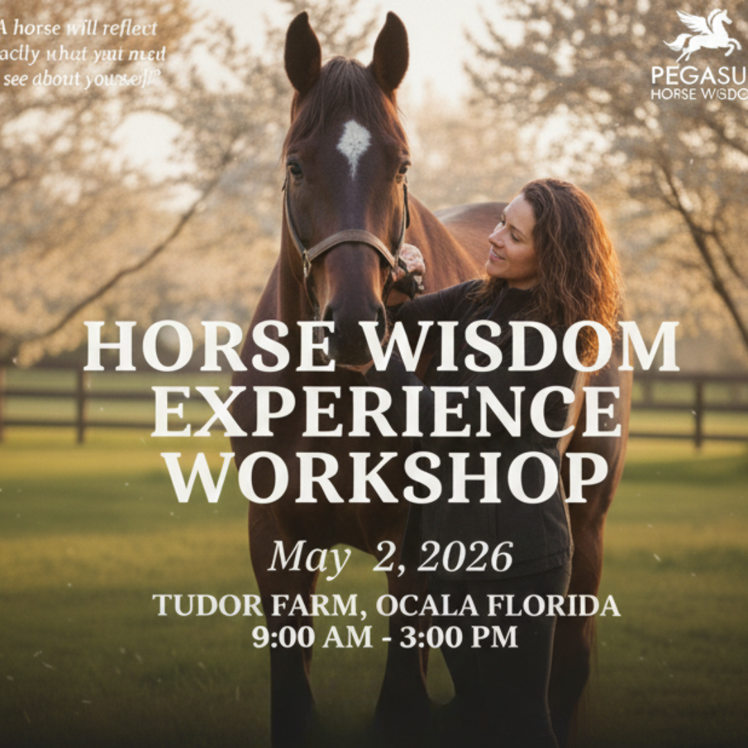 HORSE WISDOM EXPERIENCE WORKSHOP (May 2026)