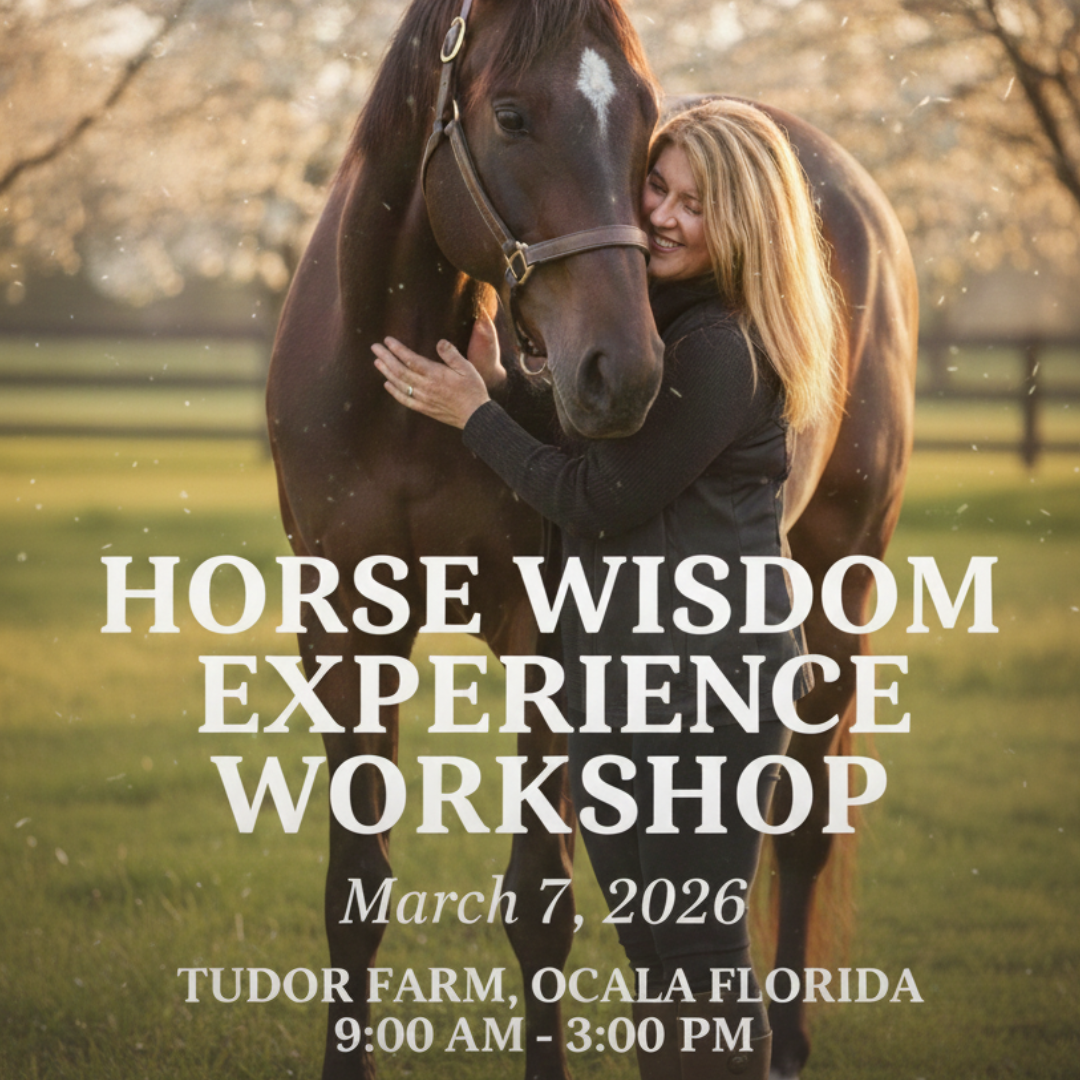 HORSE WISDOM EXPERIENCE WORKSHOP (March 2026)