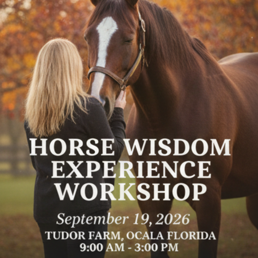 HORSE WISDOM EXPERIENCE WORKSHOP (September 2026)