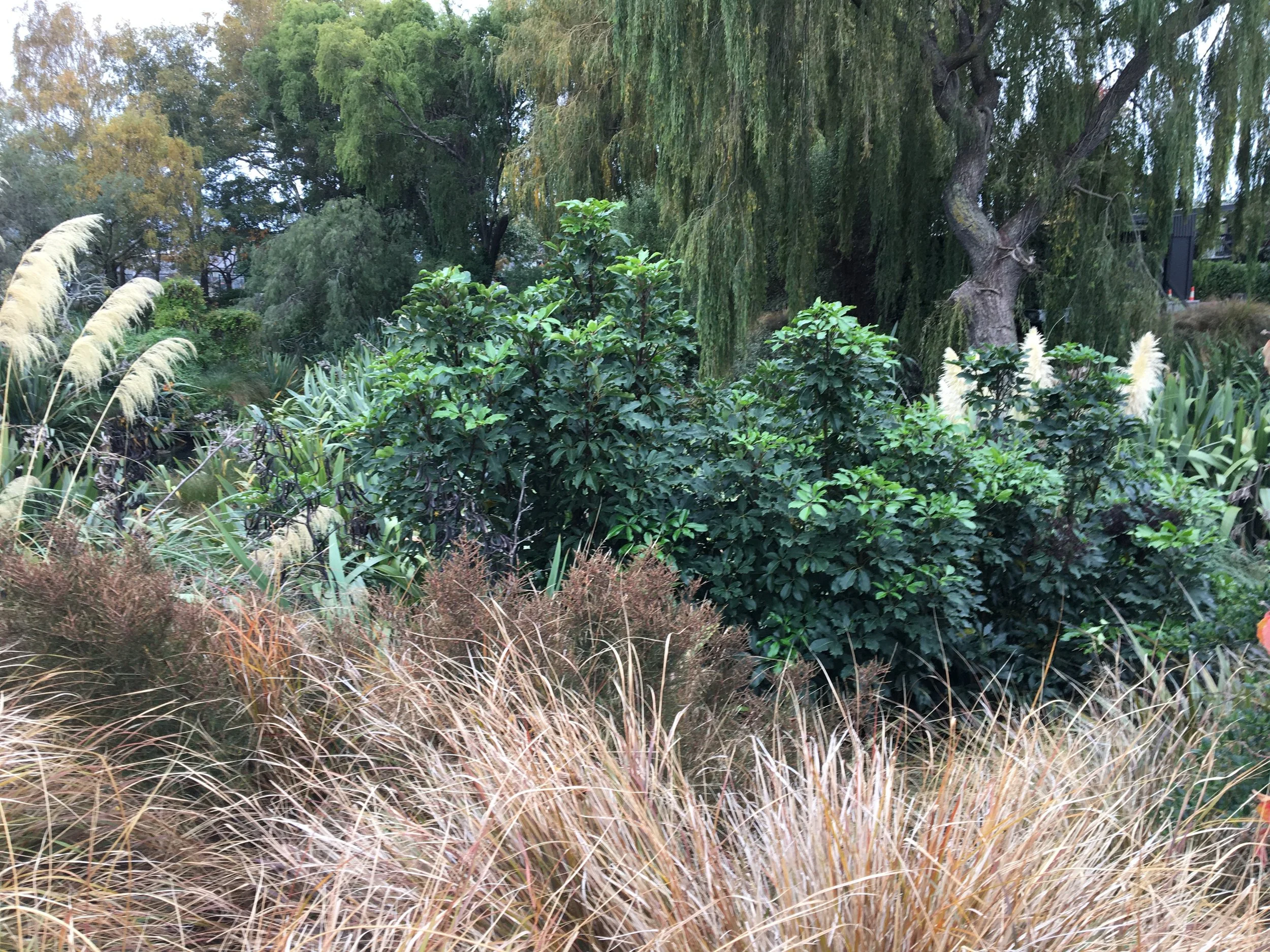 Plant Nursery Christchurch Wholesale Plants NZ Wide