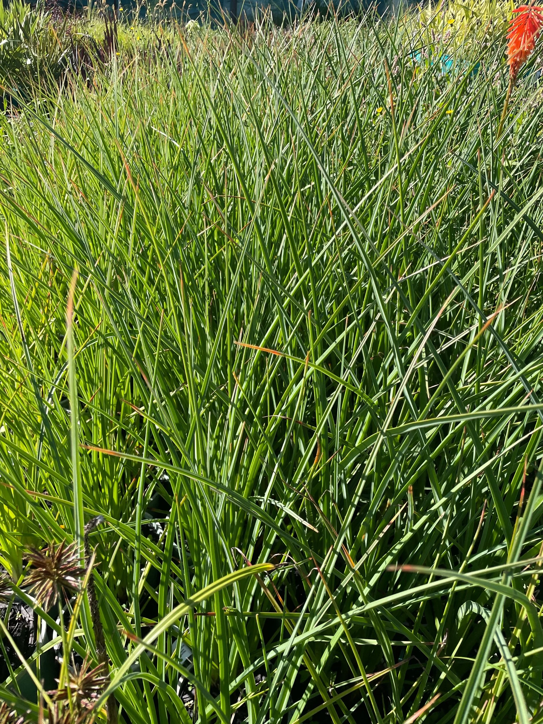 3AD68D88-30AF-49FB-83F7-A9D9C619EE19