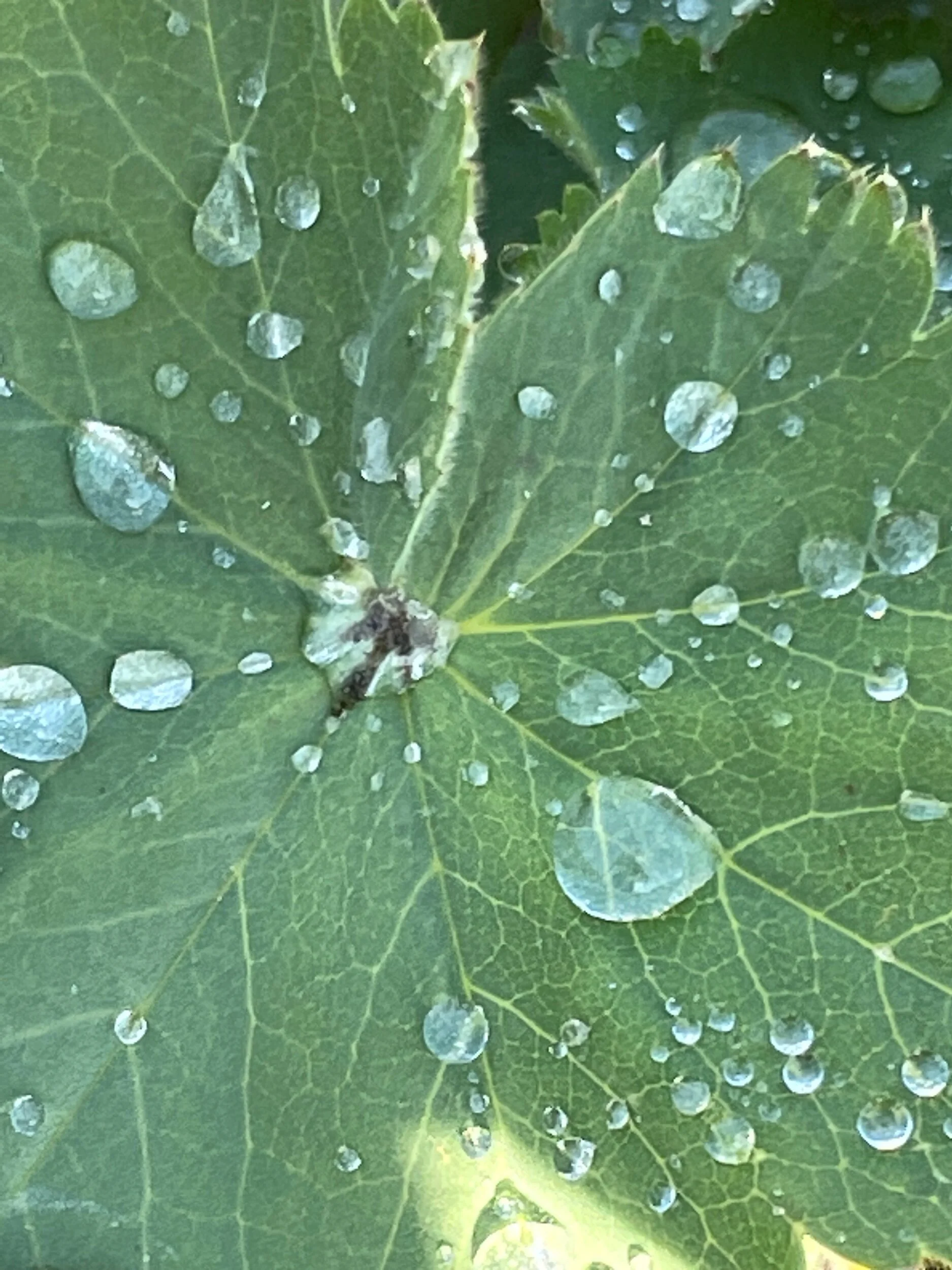 CF35A8E1-8E44-42A6-96C0-98002C5C8B97