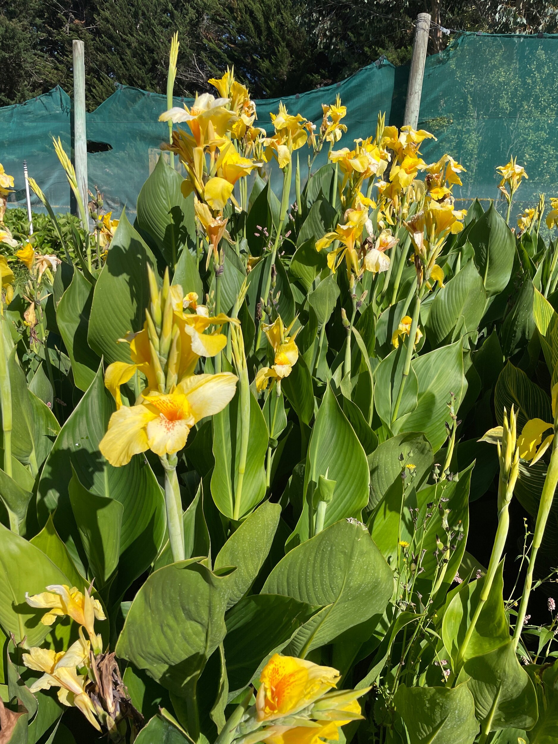 DA562FB5-5CFA-4B4F-9F81-2A98A5F300A6