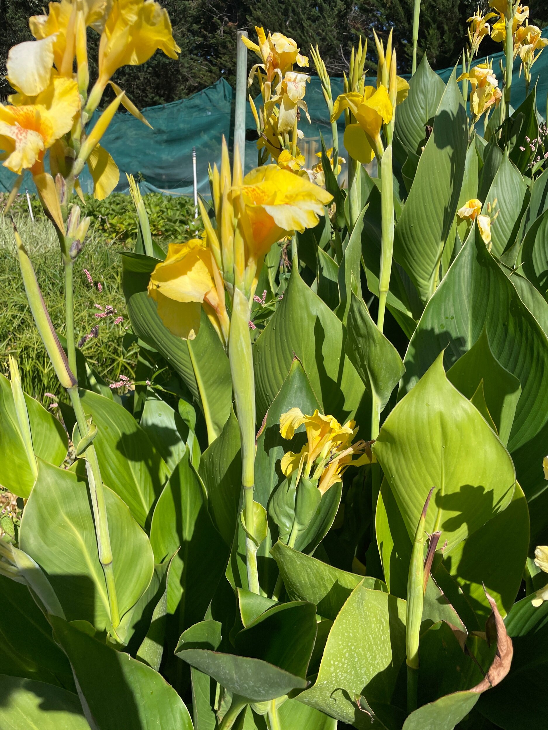 9A896156-037B-4F5D-AB03-150349A34B60