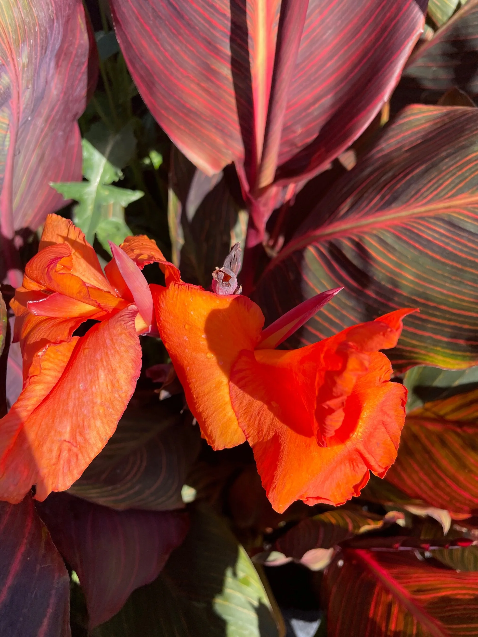 0EA7FBC0-8E87-4D42-97D1-00E1F1CCFE36