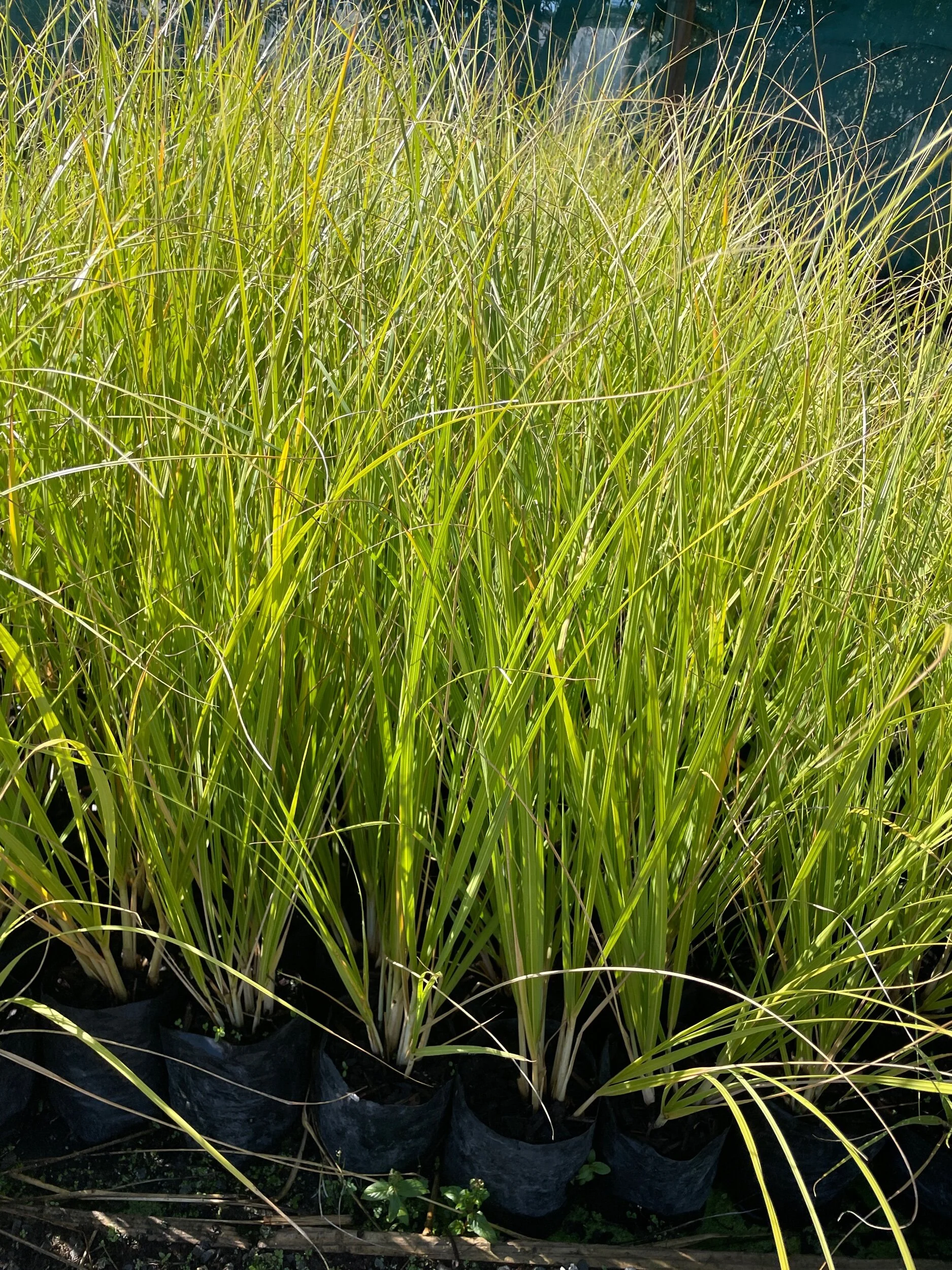 E688A9DA-D23B-4AB4-87D5-321CD02A4AB4