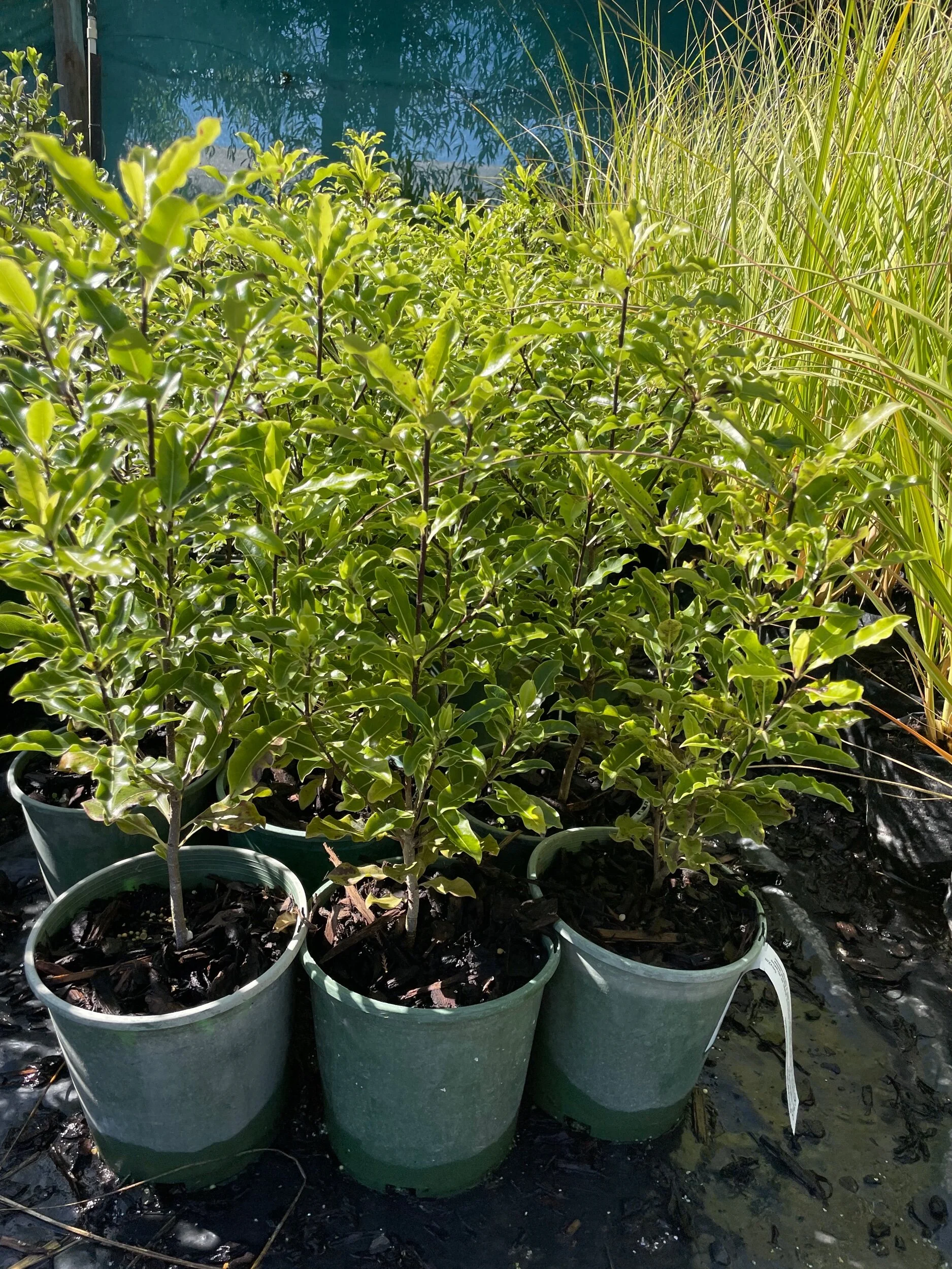 120C012B-D8A2-4D27-8FED-F611D25230D3