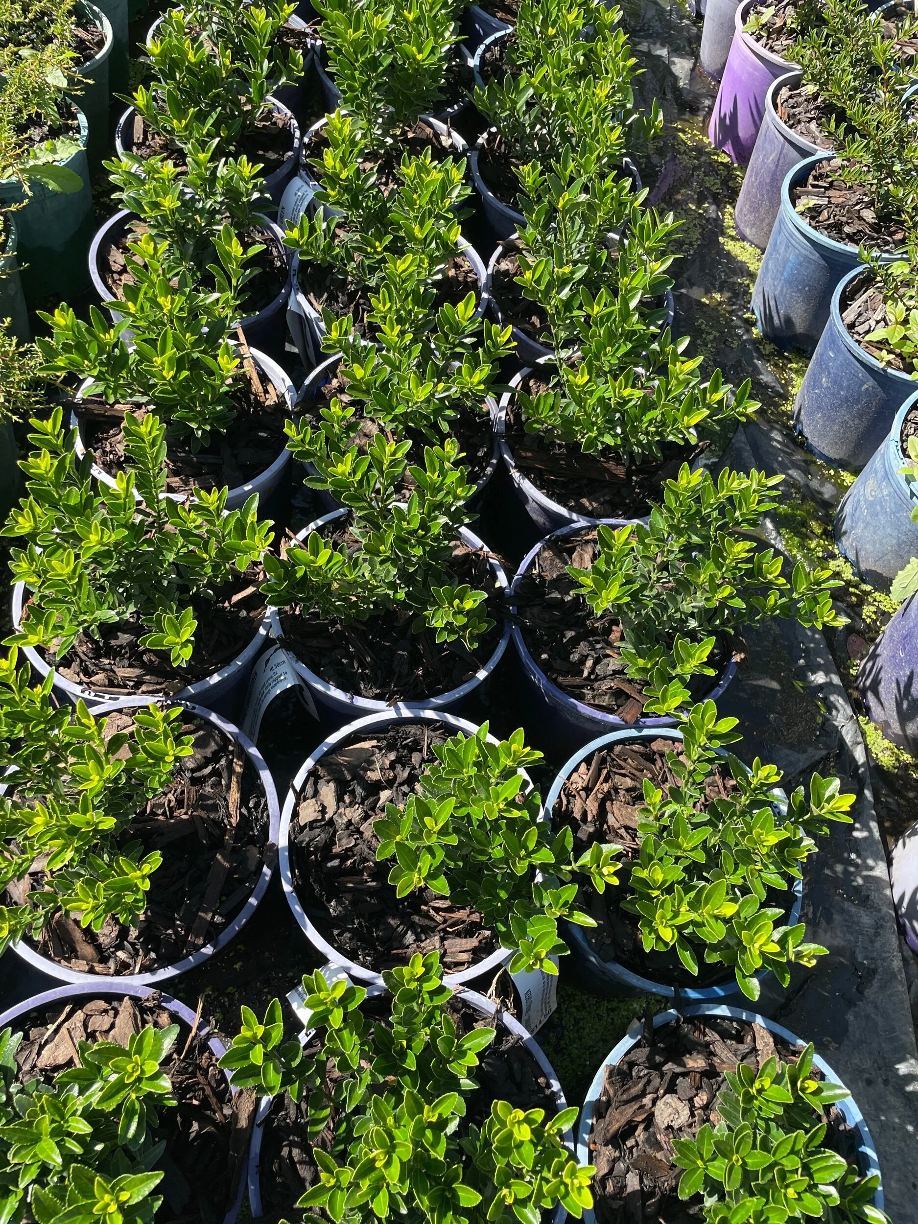 FCB4A138-C9D3-4AB2-8A59-3FF6081FF80B