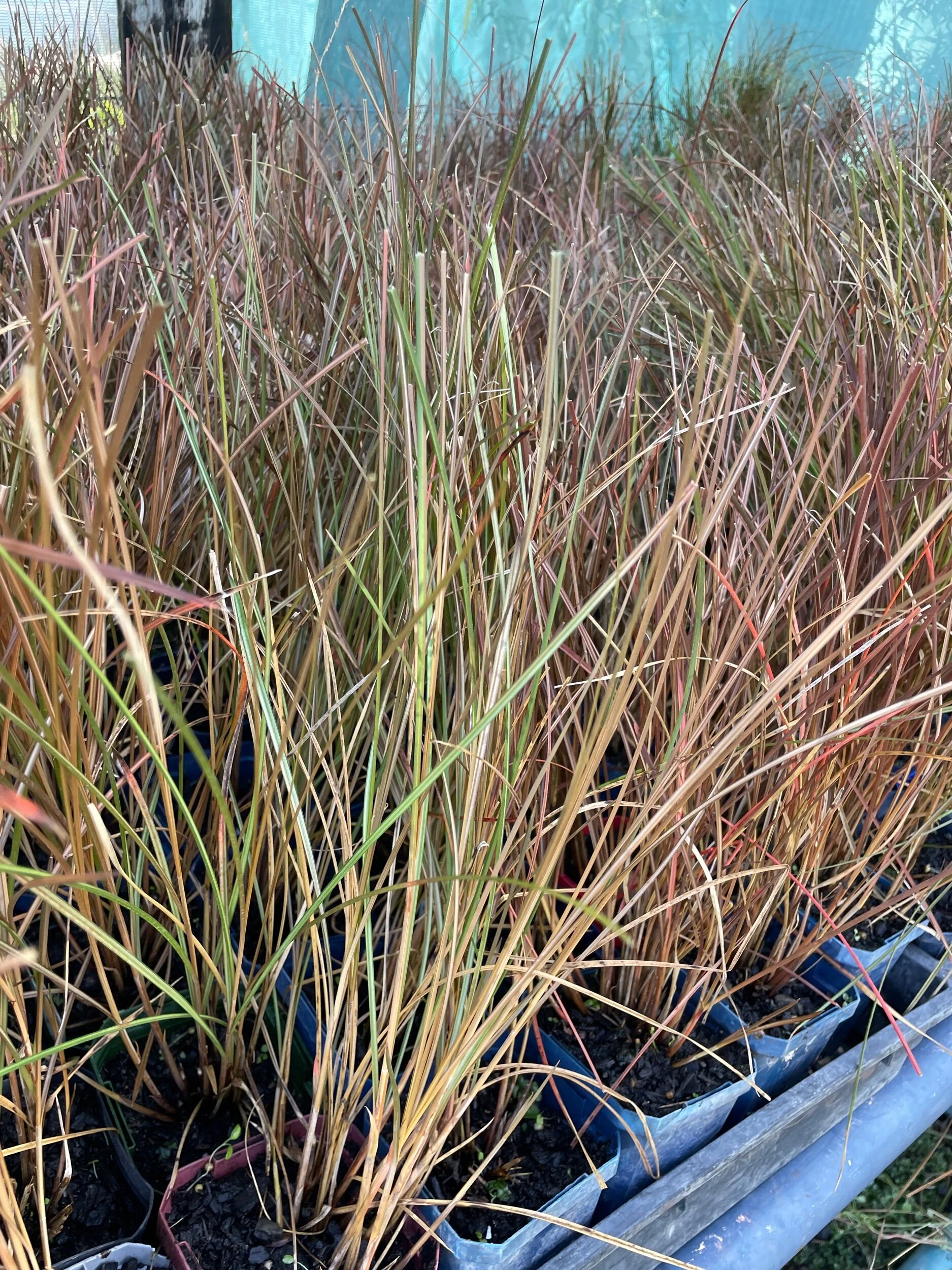 D9DDE574-11FB-440B-BD60-5A21EBE4F43B