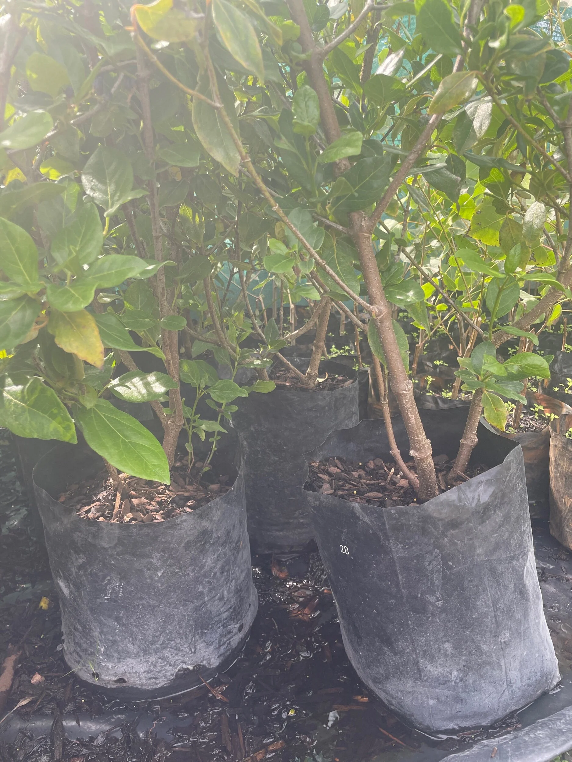 B268F2AB-A5F7-4D69-8A1F-A362DD6F850D