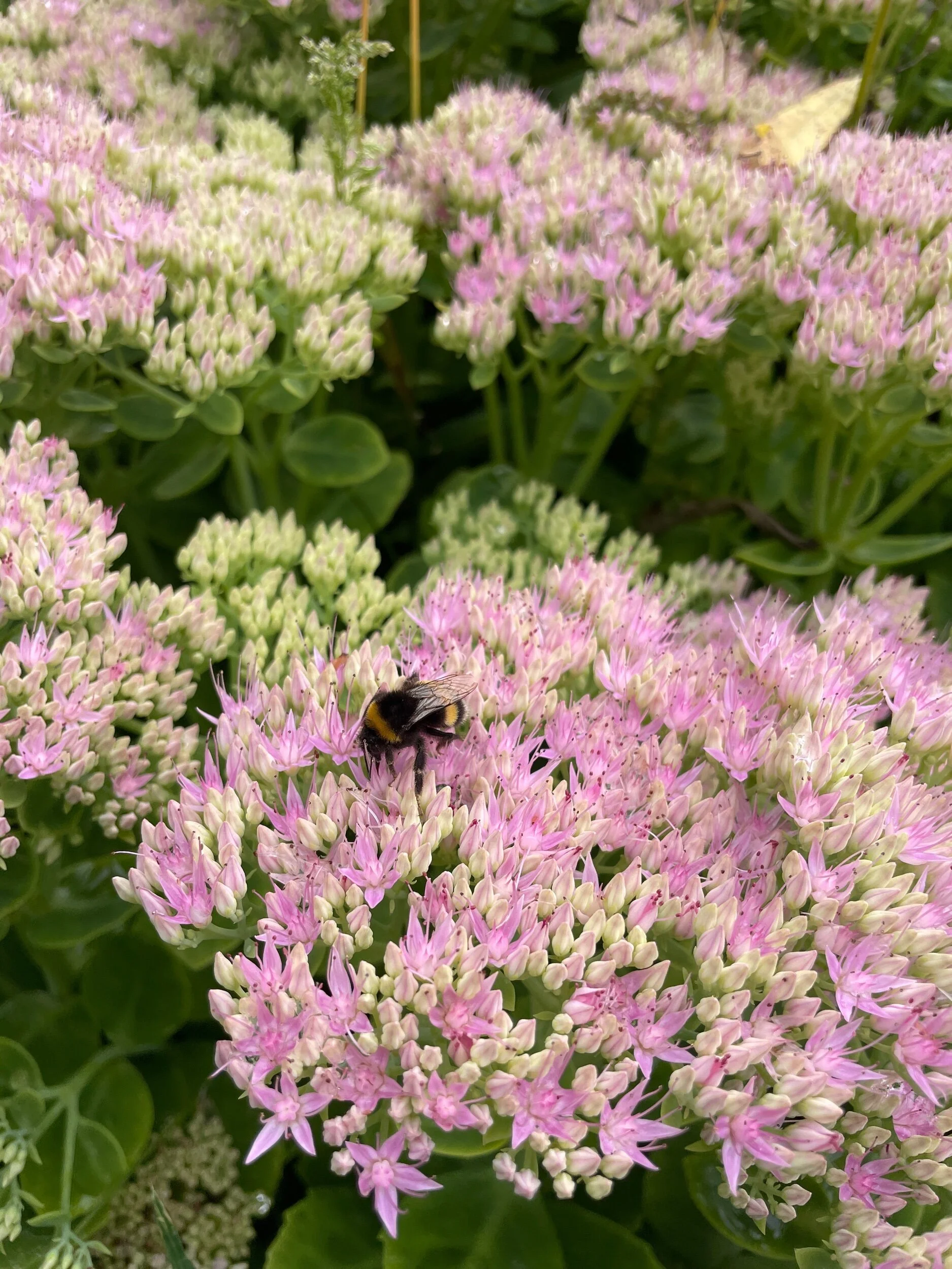 40B5AF4B-6B2F-4C87-9EBD-E3B92F17F5E4