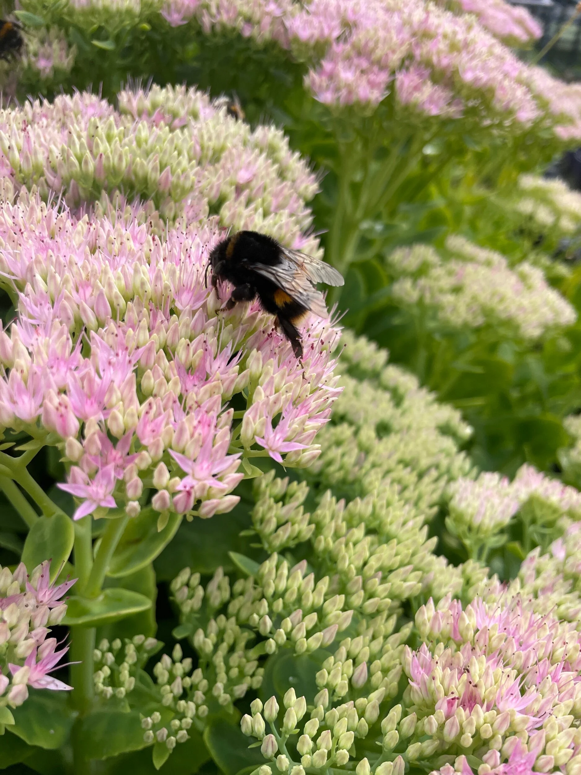 06746BC8-F663-449E-B574-9700A9CD6D4C