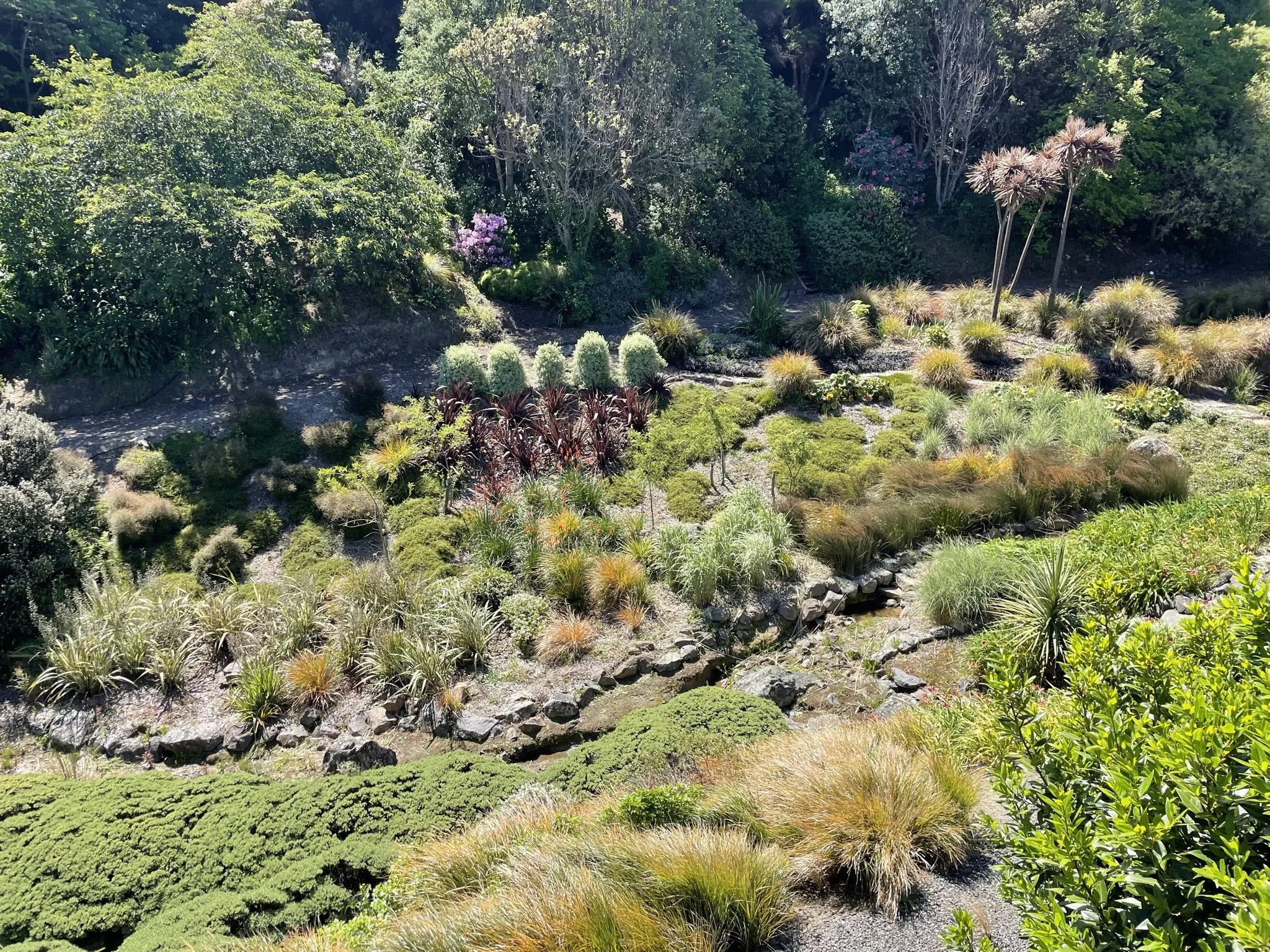 katirna garden 4.JPEG