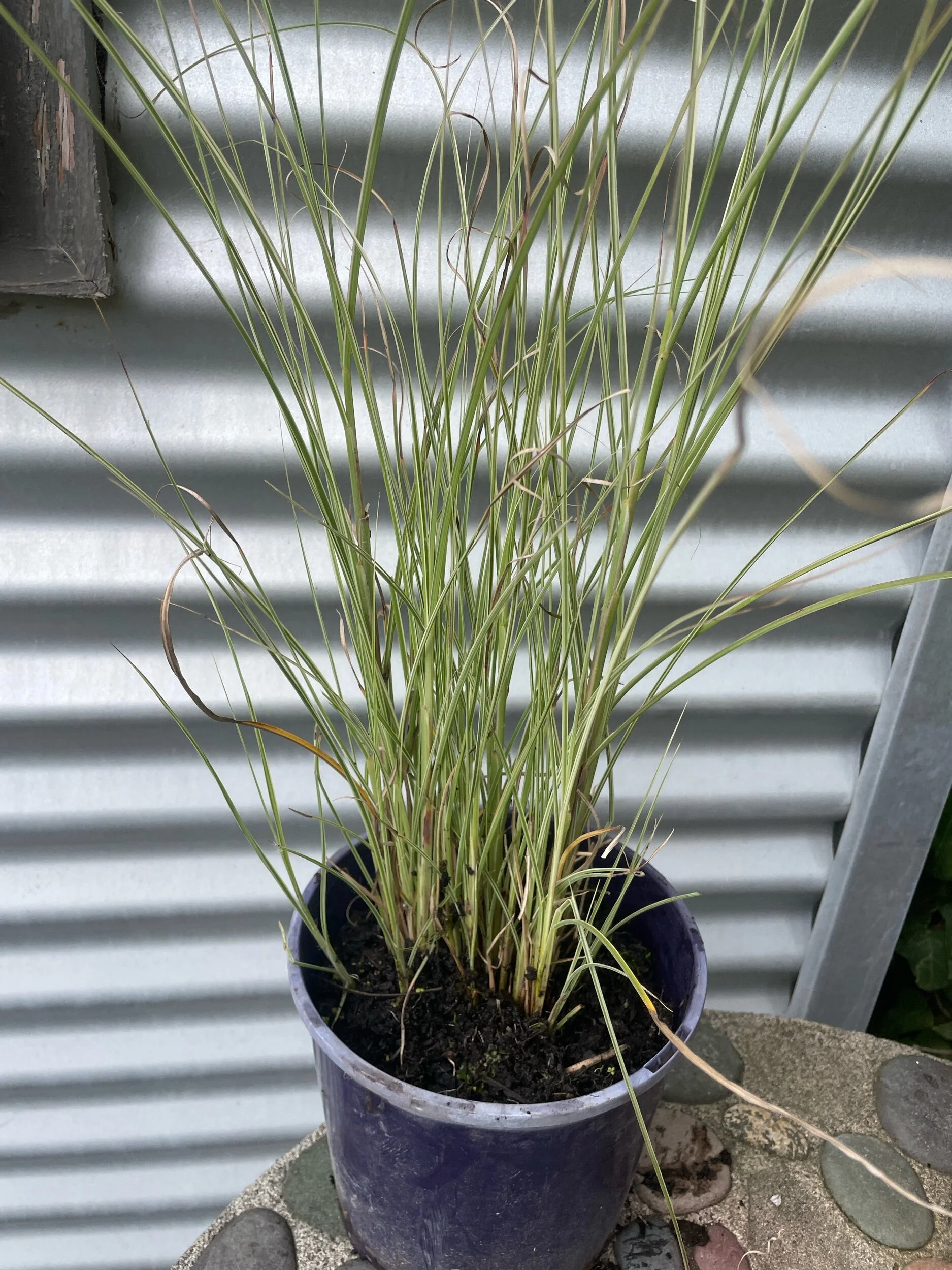 E9139FB4-8A65-4BE1-B2CF-2B1680DD702D